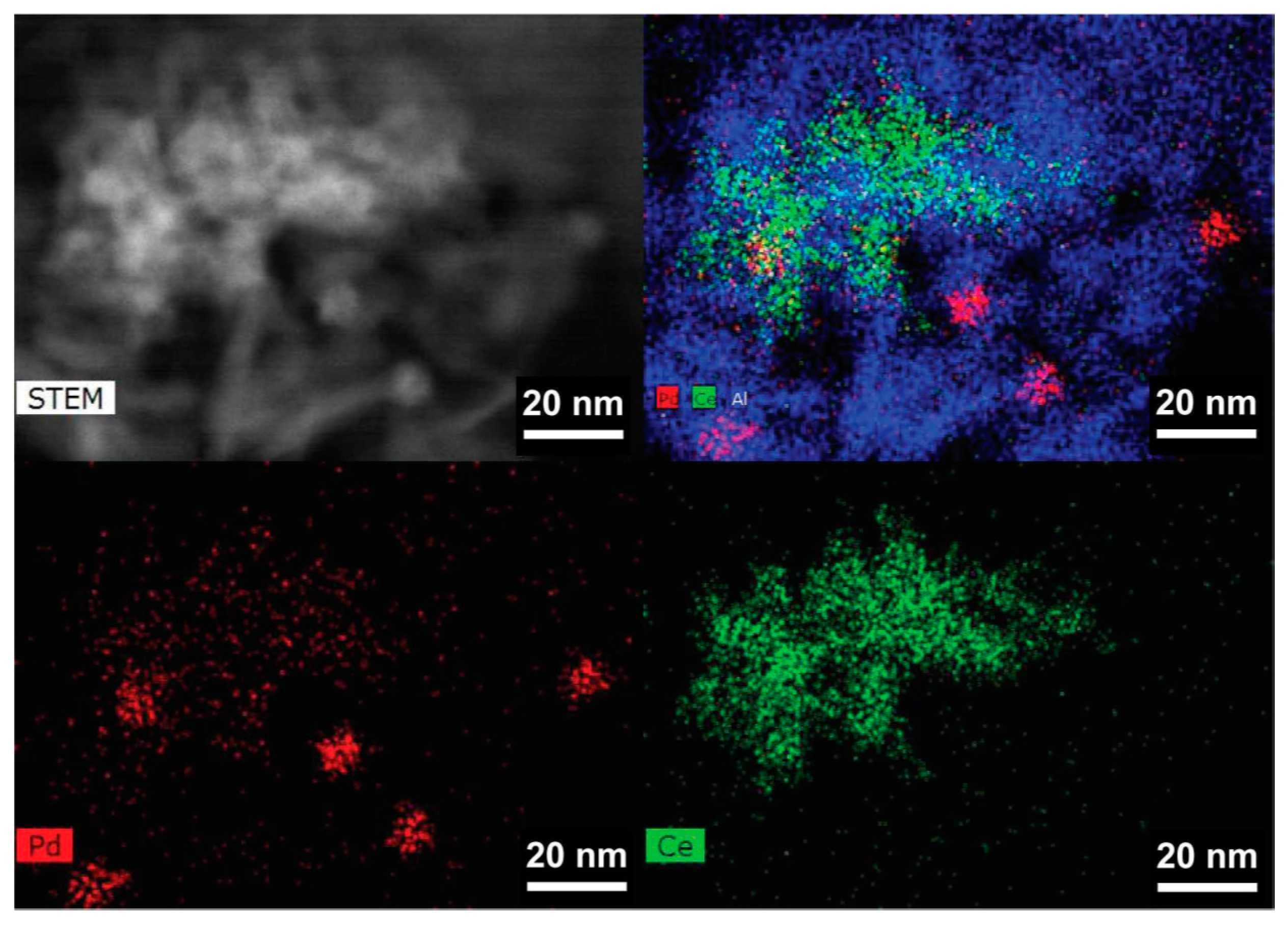 Catalysts 10 00976 g005