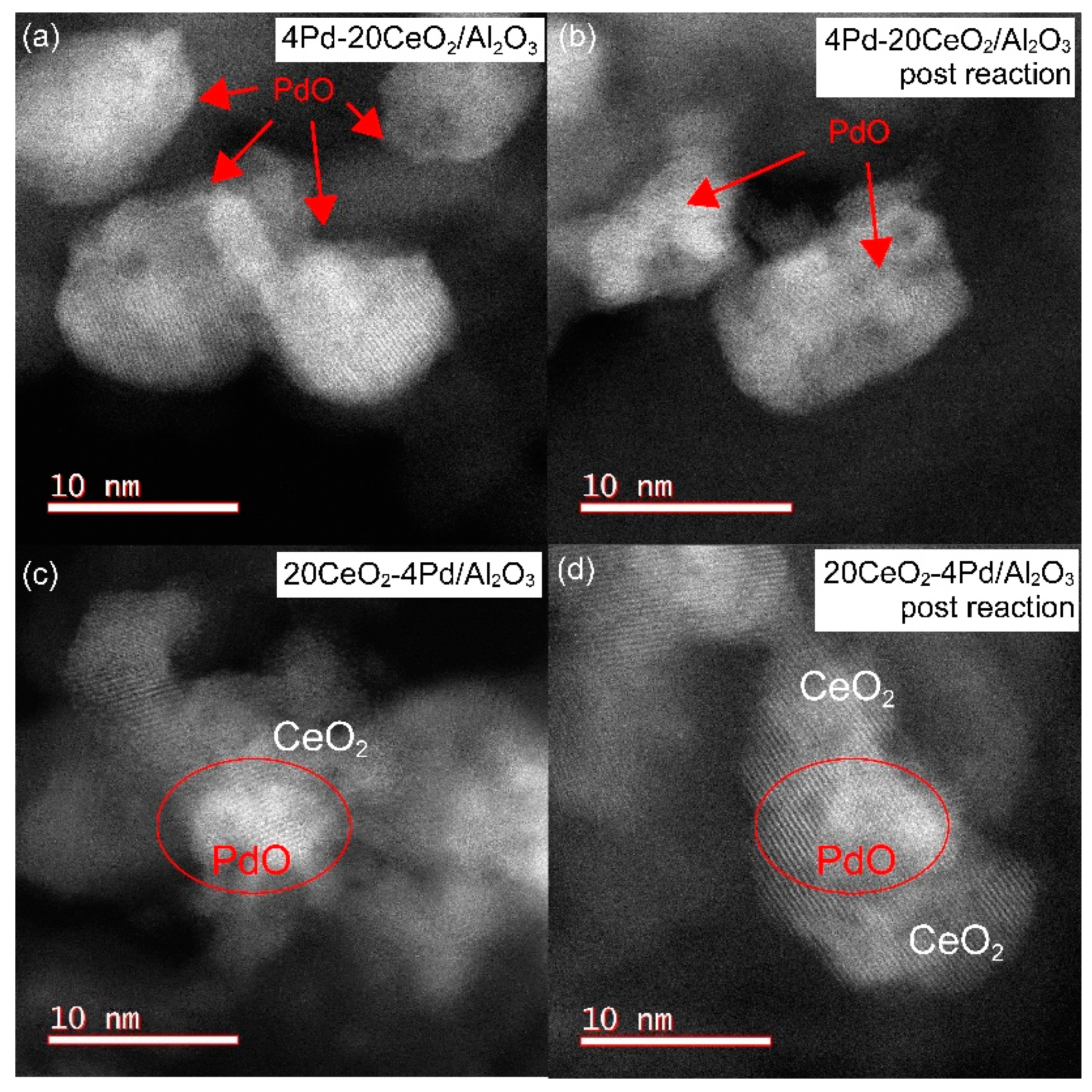 Catalysts 10 00976 g008