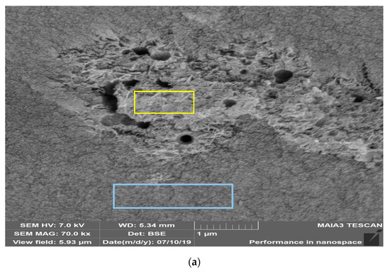 Catalysts 10 00986 g004a Catalysts 10 00986 g004a