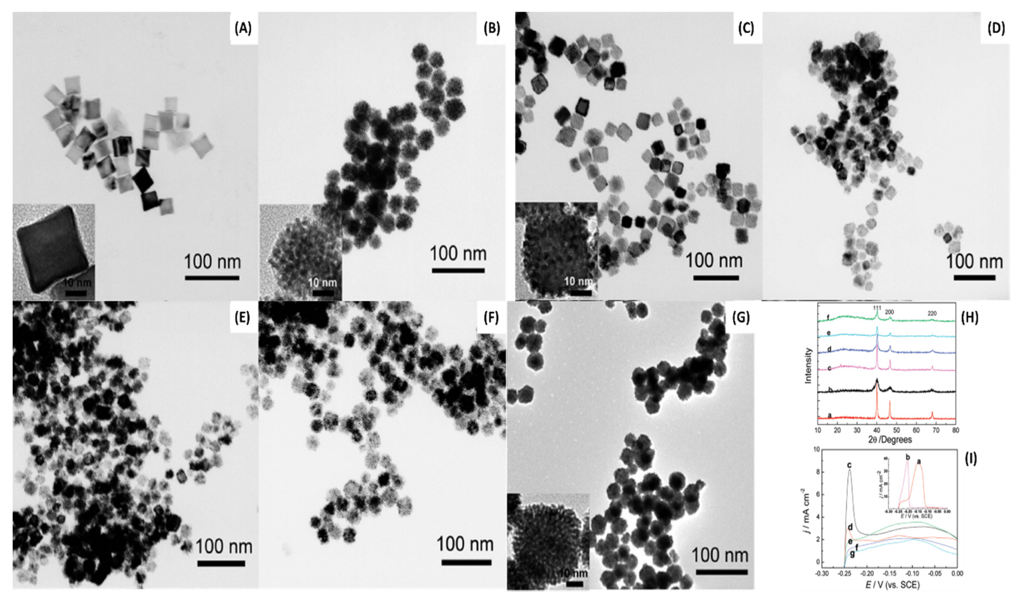 Catalysts 10 00991 g009 Catalysts 10 00991 g009
