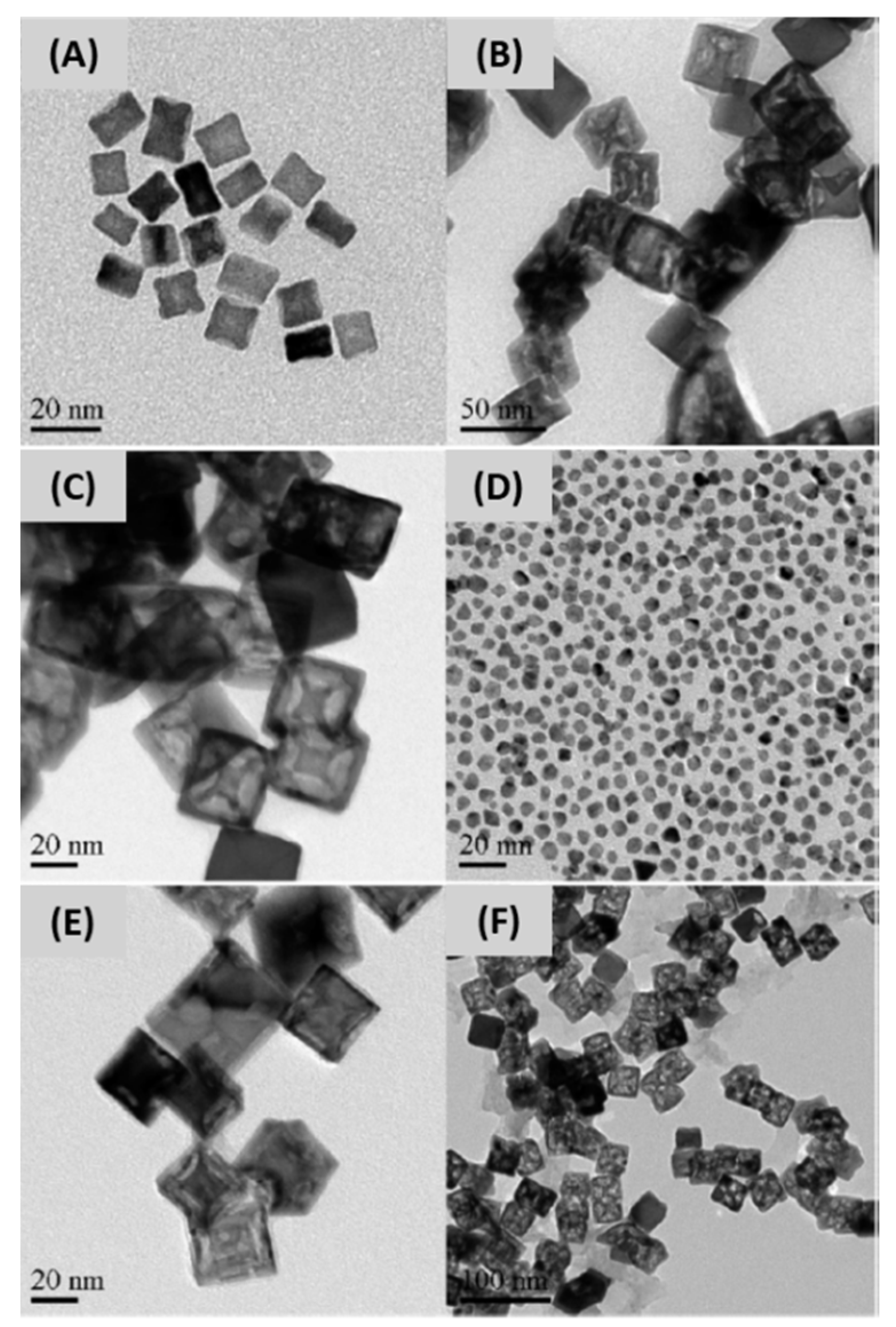 Catalysts 10 00991 g013 Catalysts 10 00991 g013