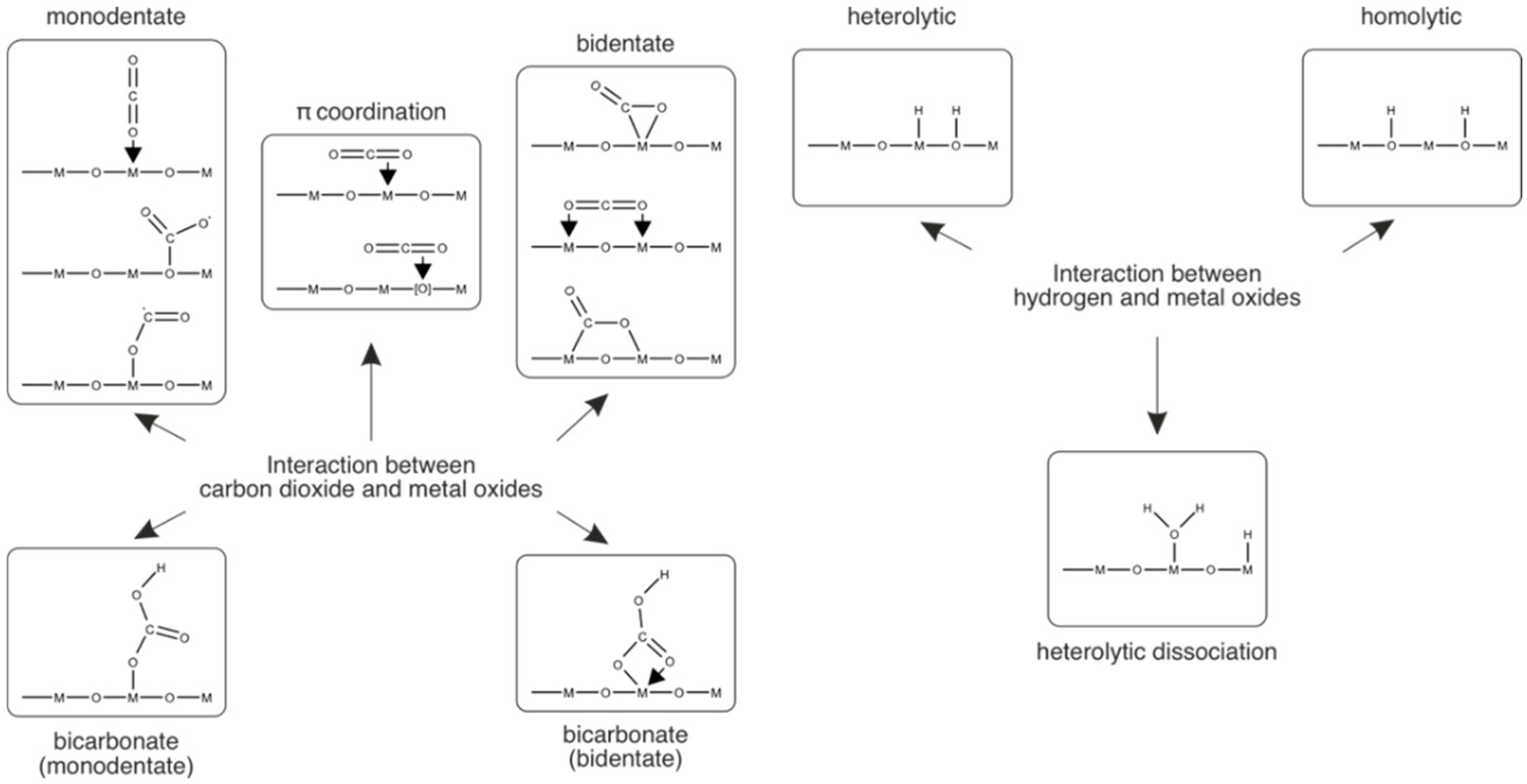 Catalysts 10 00992 g006