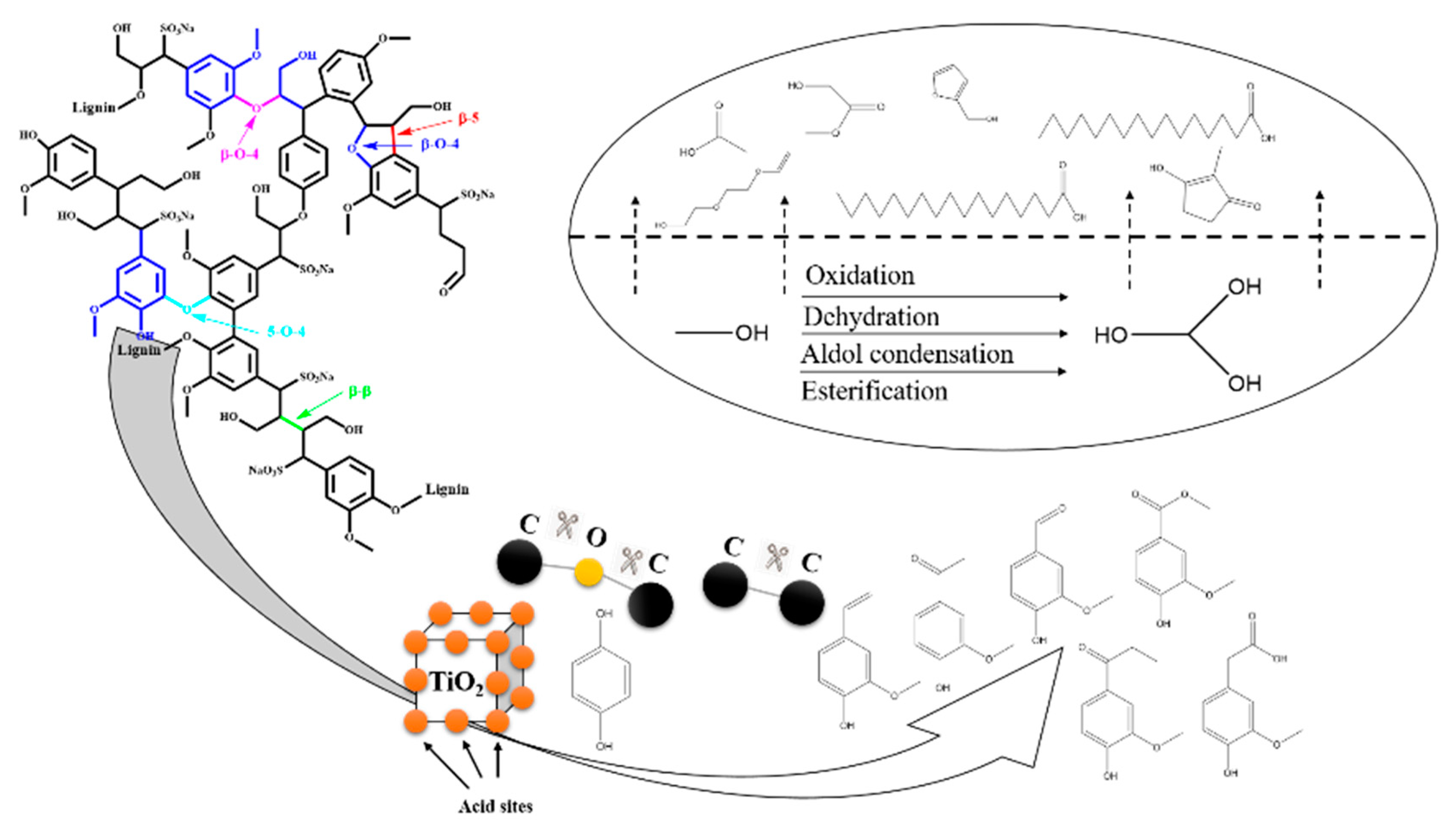 Catalysts 10 00995 g007