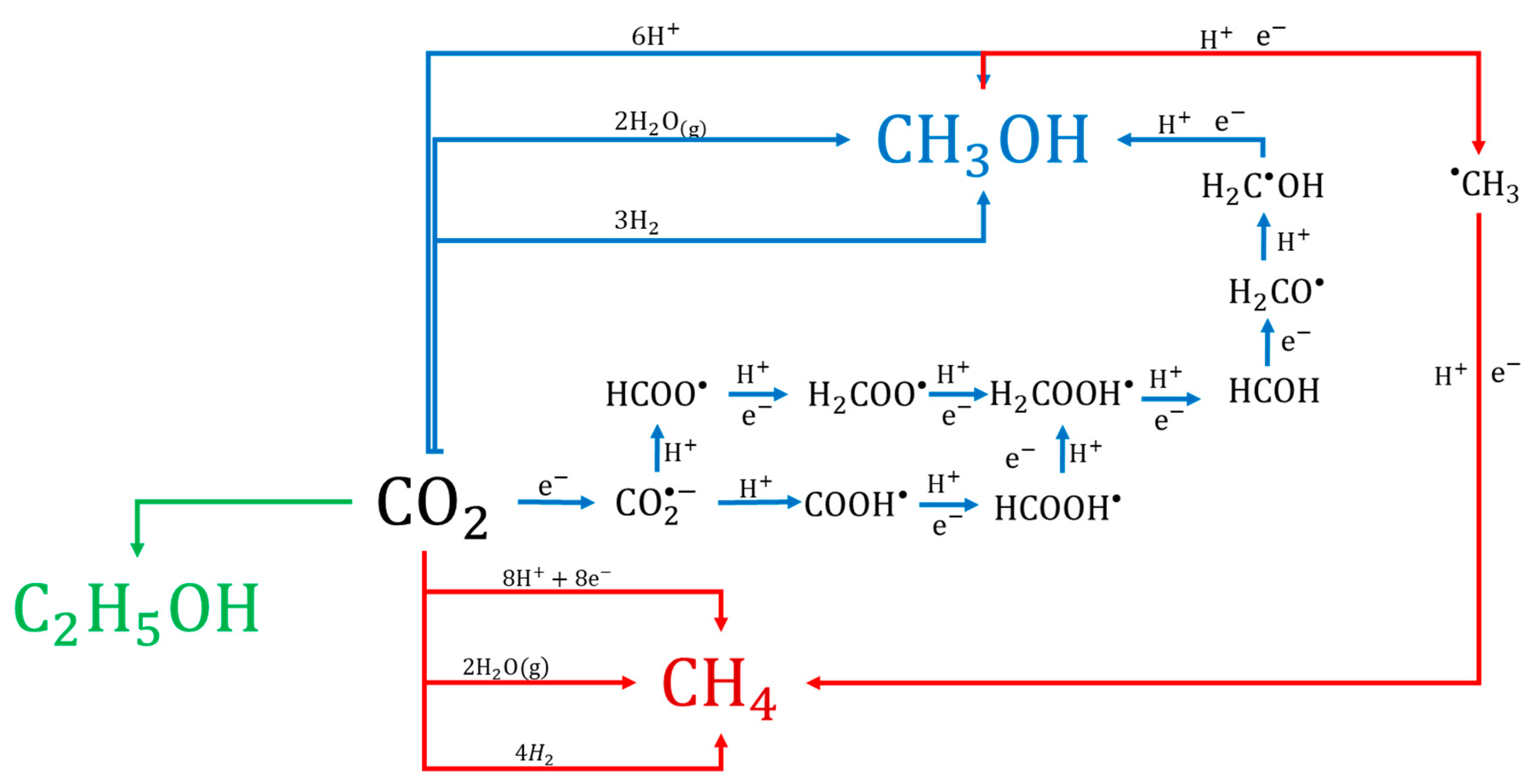 Catalysts 10 00998 g013