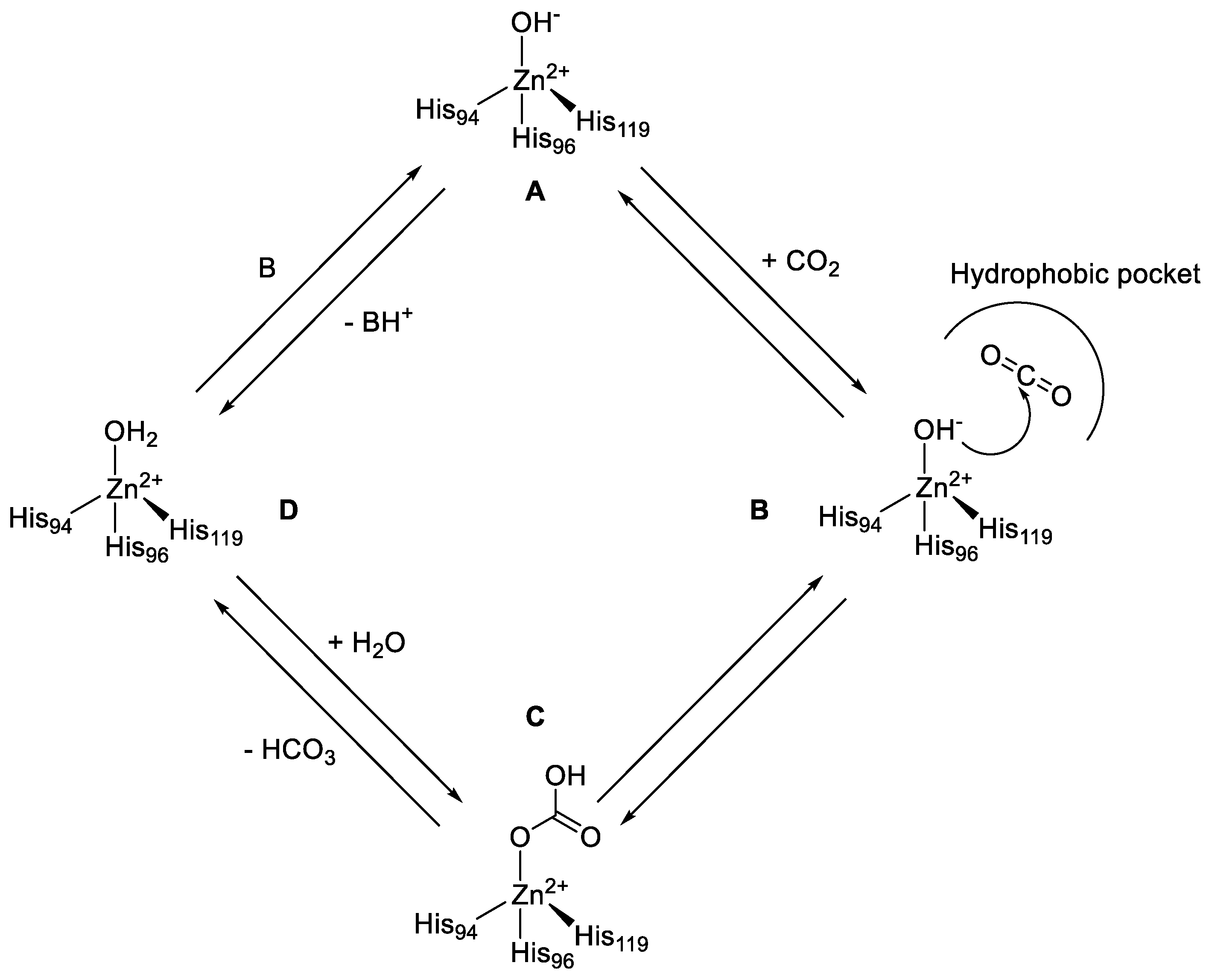 Catalysts 10 01008 g001 Catalysts 10 01008 g001
