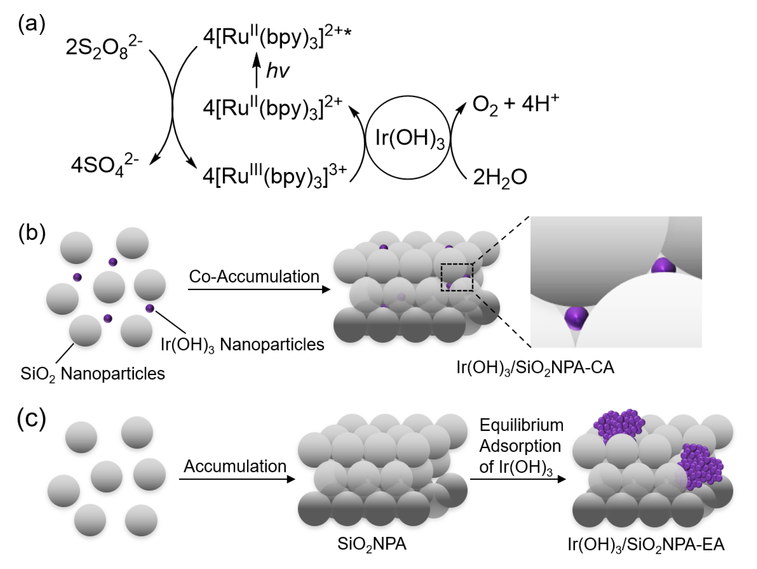 Catalysts 10 01015 g001 Catalysts 10 01015 g001