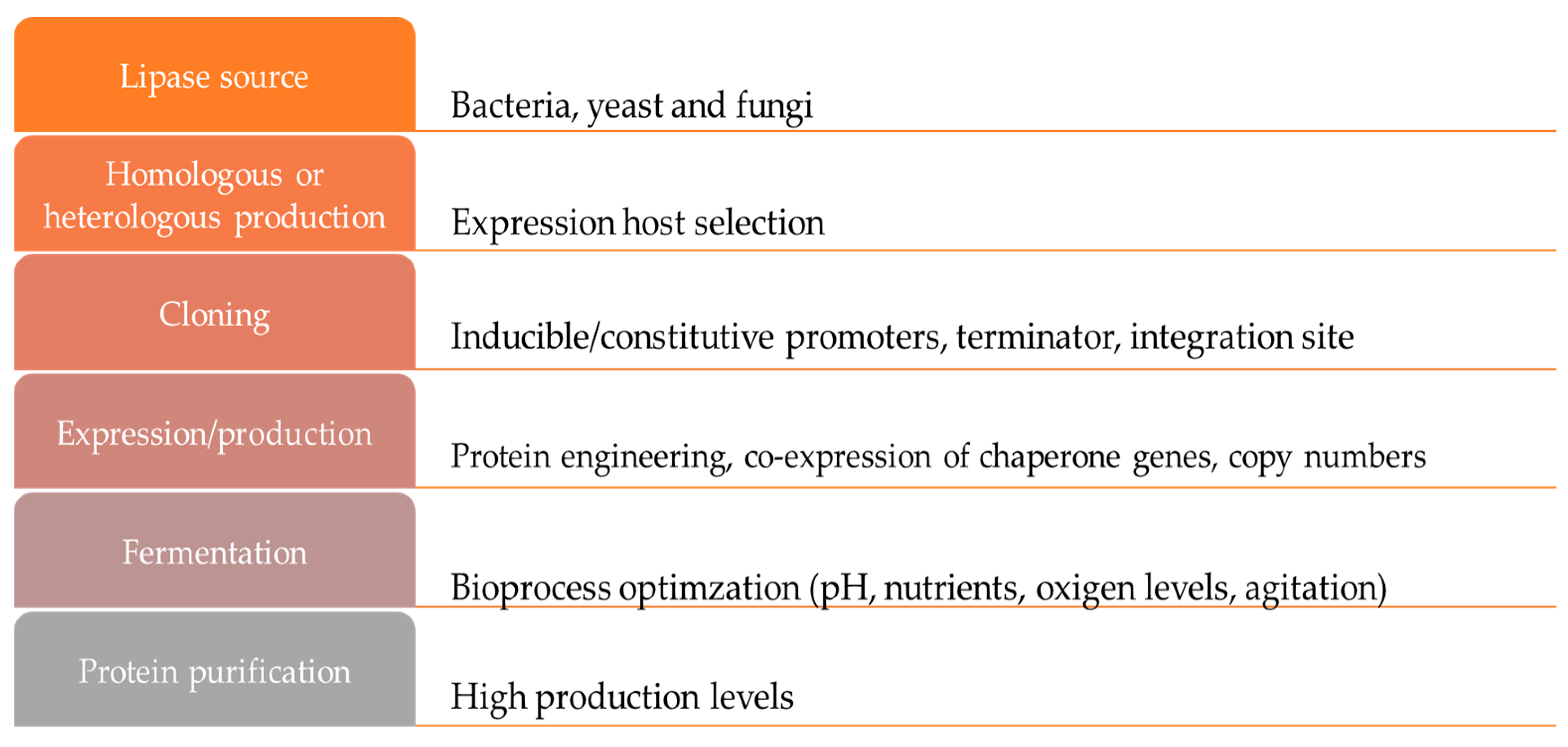 Catalysts 10 01032 g001