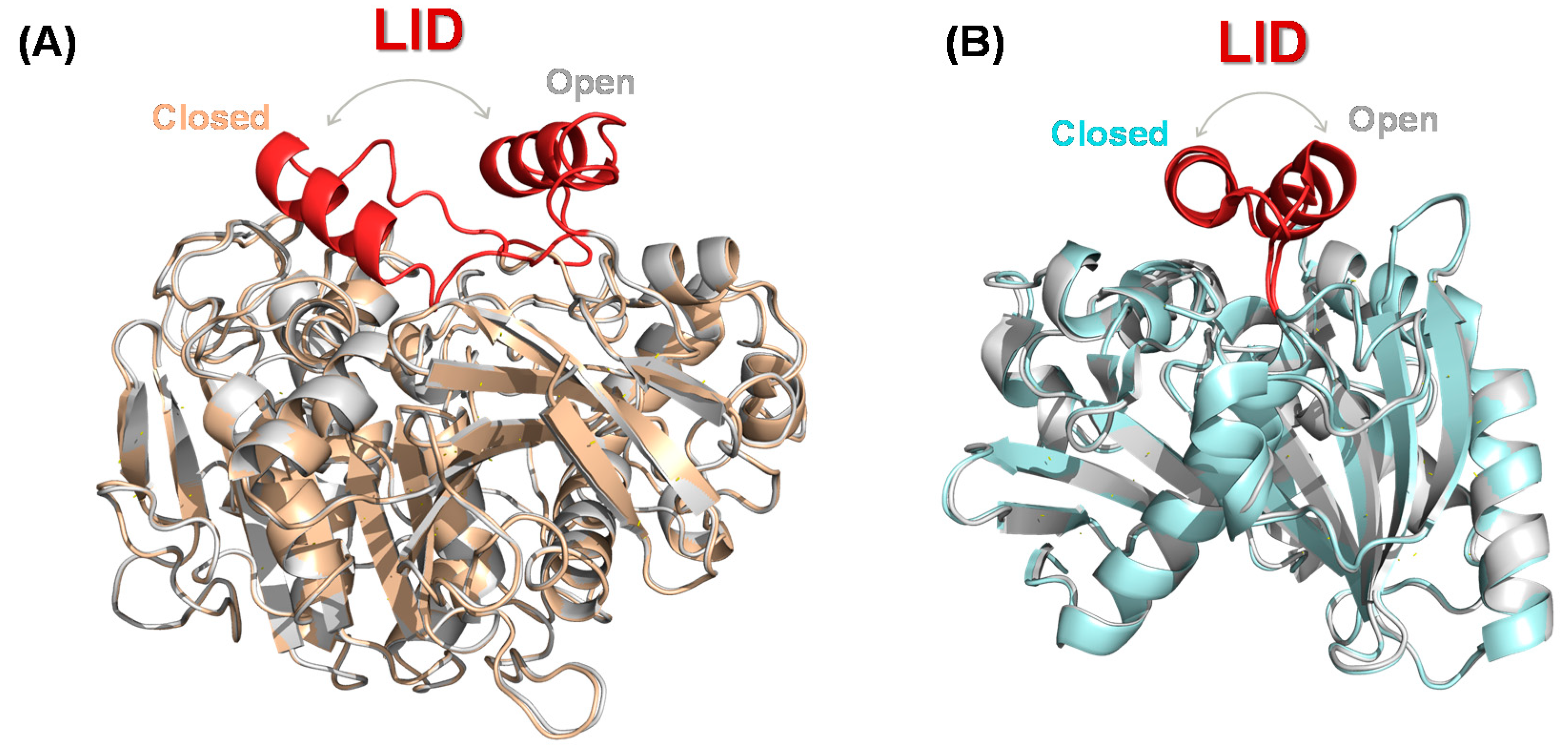 Catalysts 10 01032 g002
