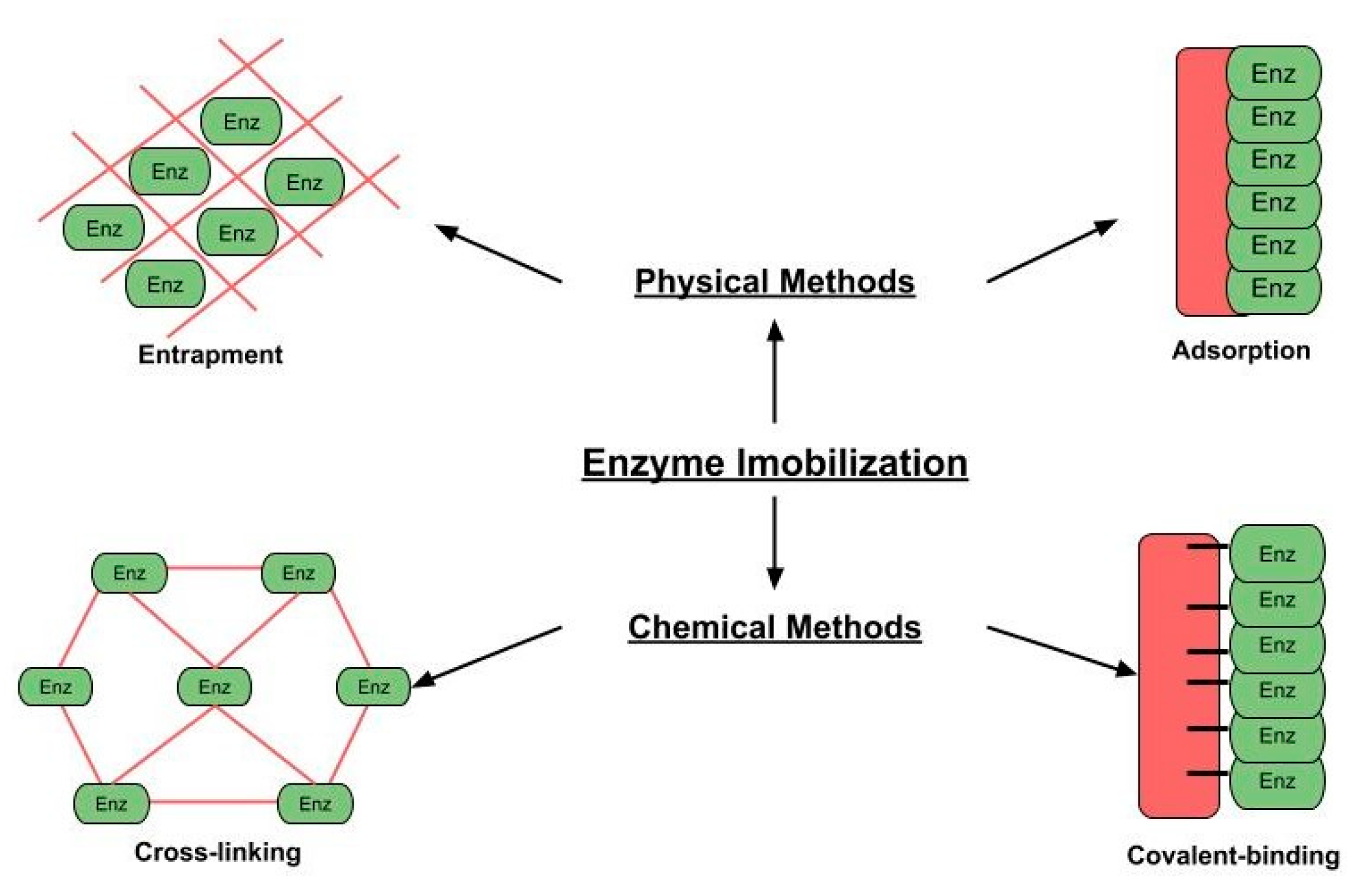 Catalysts 10 01032 g003