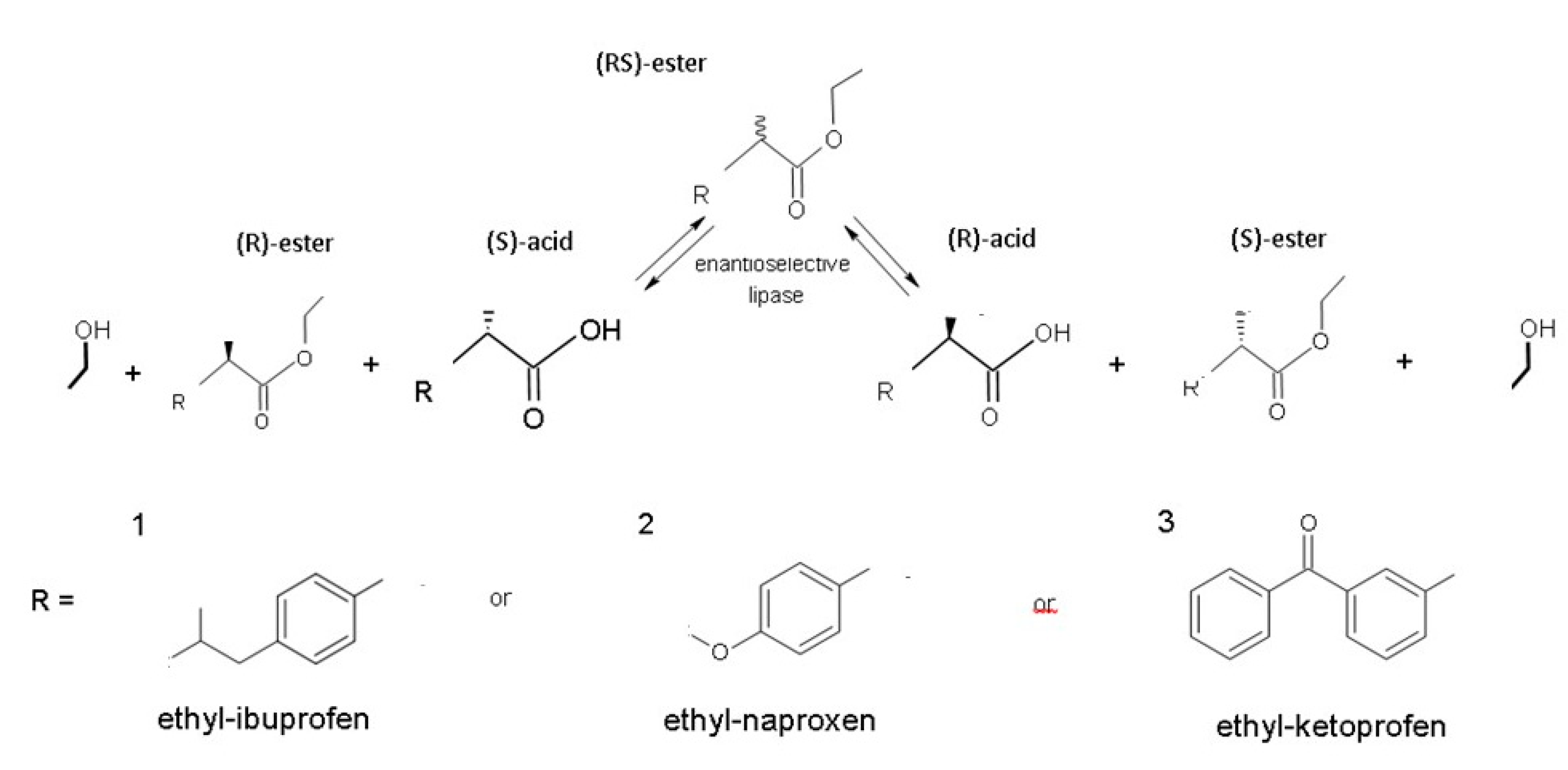 Catalysts 10 01032 g004