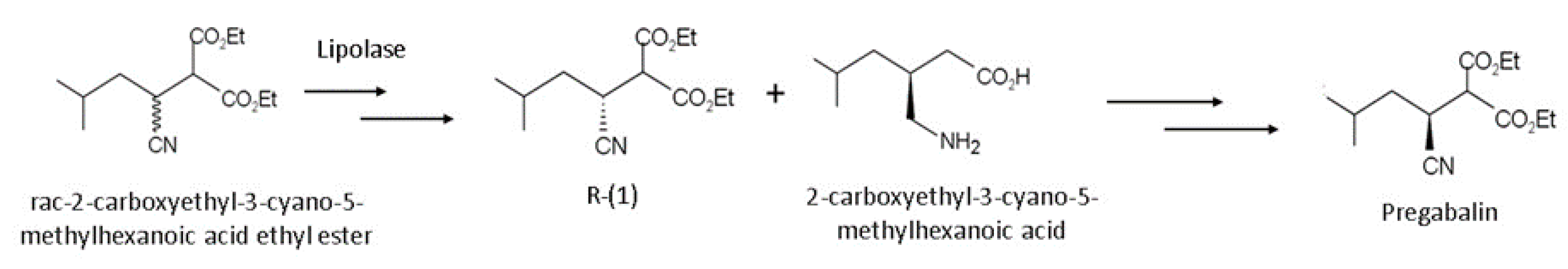 Catalysts 10 01032 g006
