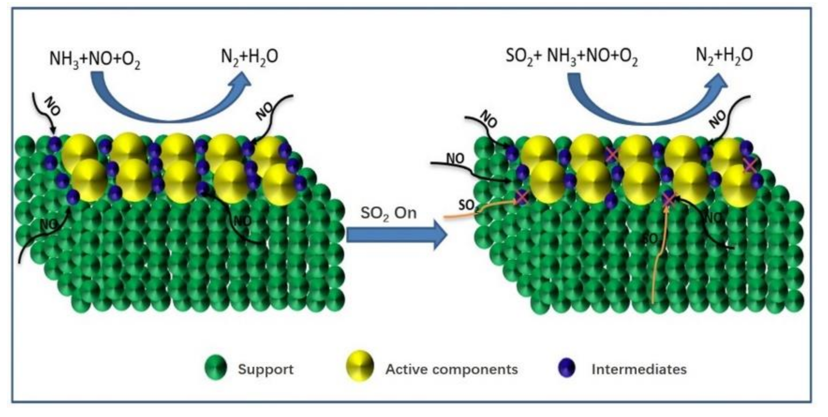 Catalysts 10 01034 g003