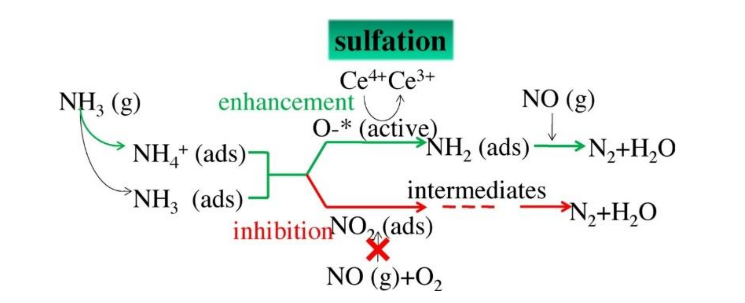 Catalysts 10 01034 g012