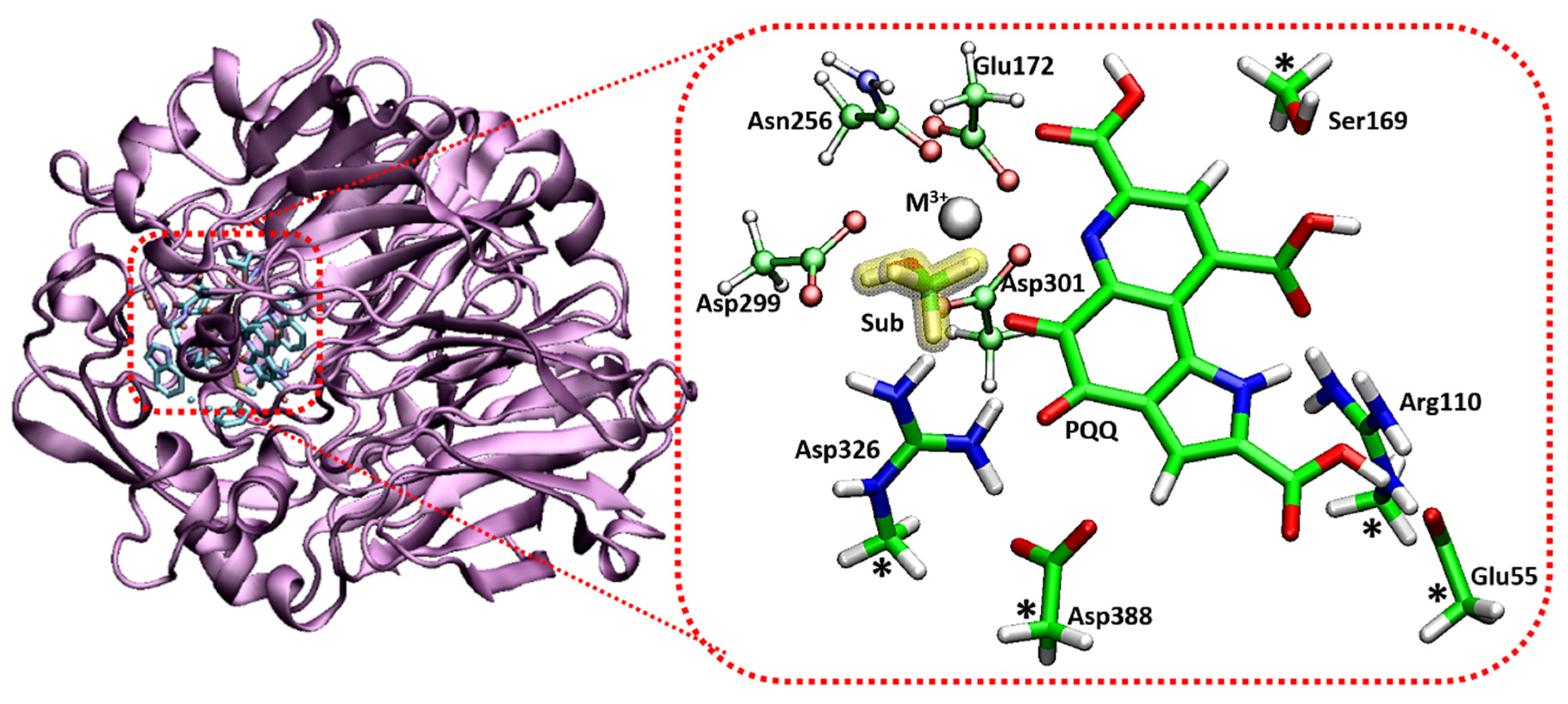 Catalysts 10 01038 g002 Catalysts 10 01038 g002