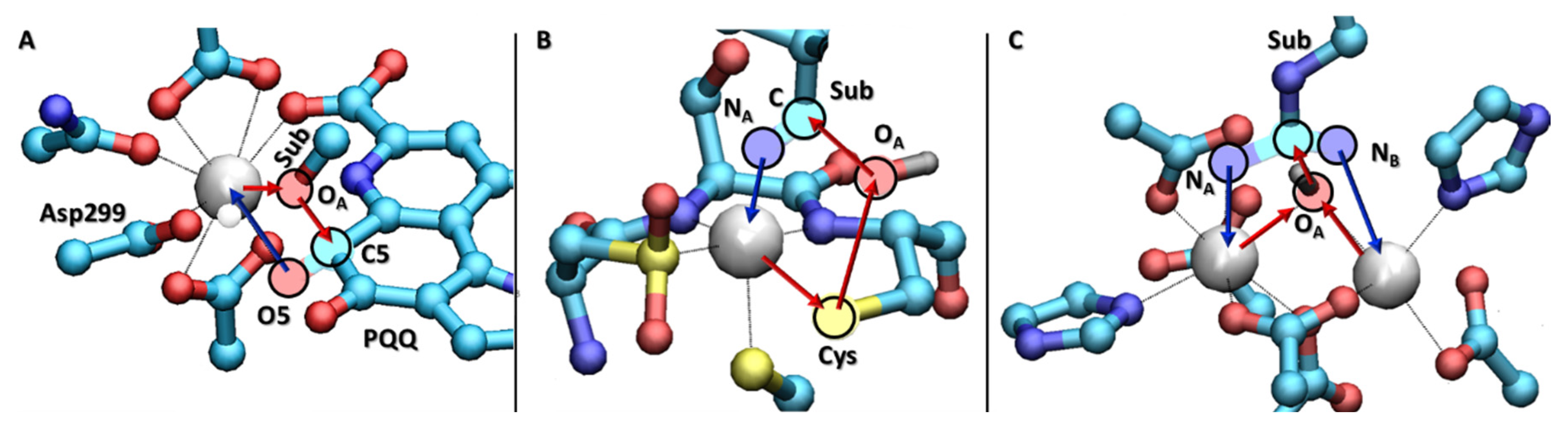 Catalysts 10 01038 g011 Catalysts 10 01038 g011