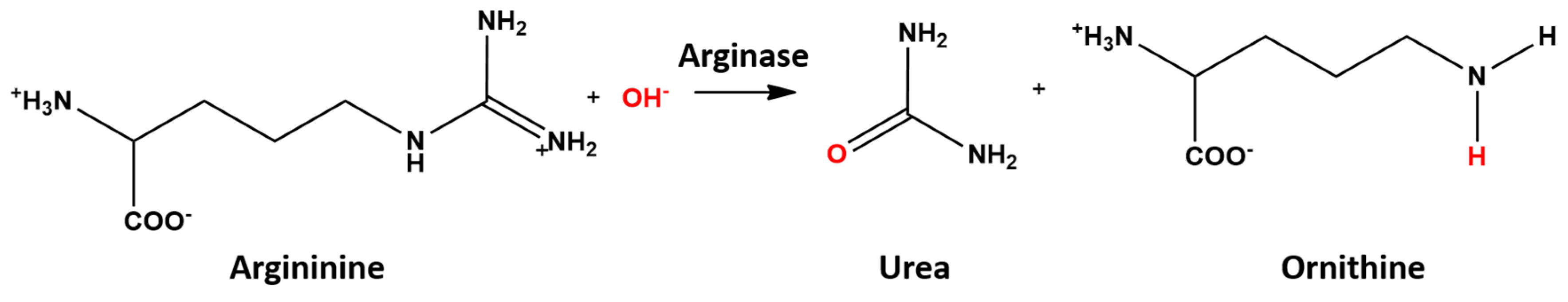 Catalysts 10 01038 sch005 Catalysts 10 01038 sch005