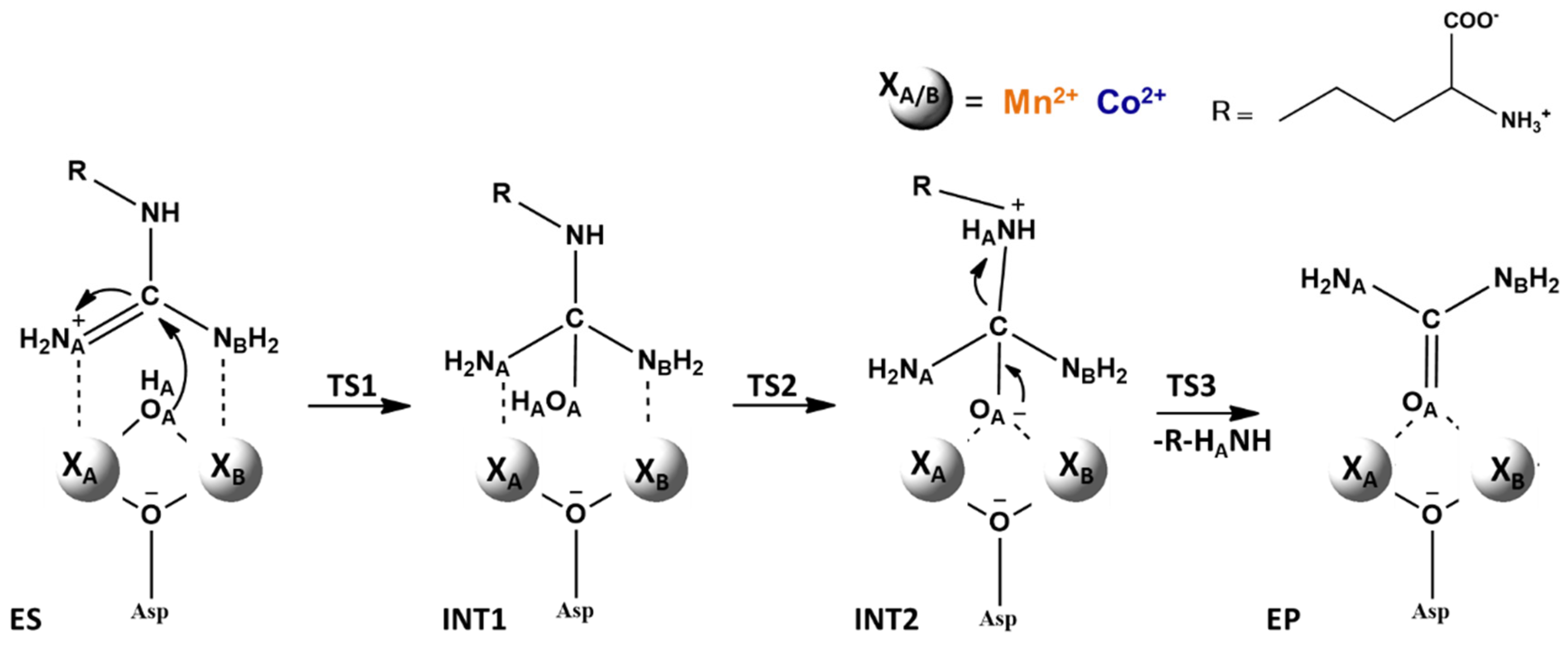 Catalysts 10 01038 sch006 Catalysts 10 01038 sch006
