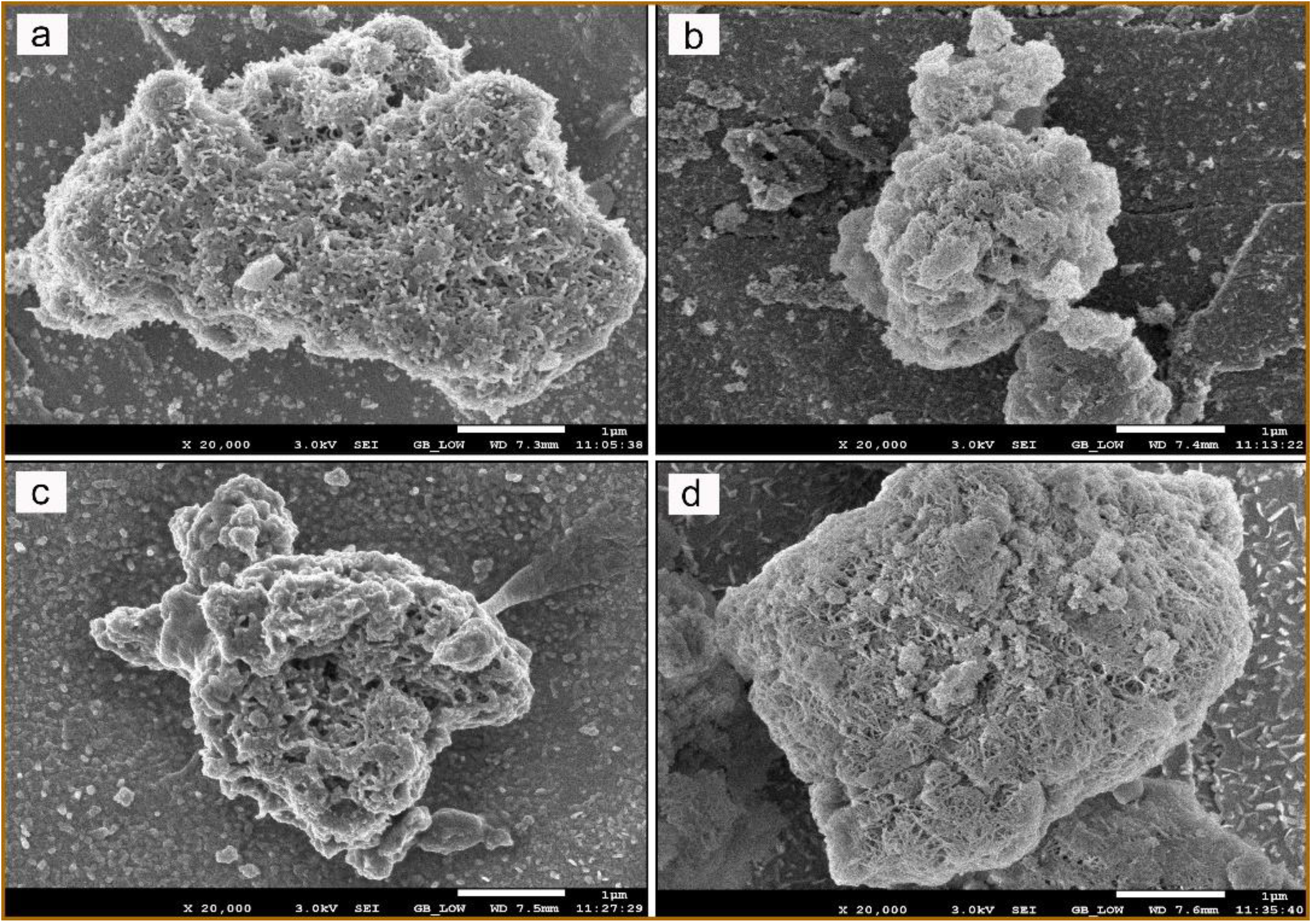 Catalysts 10 01042 g003