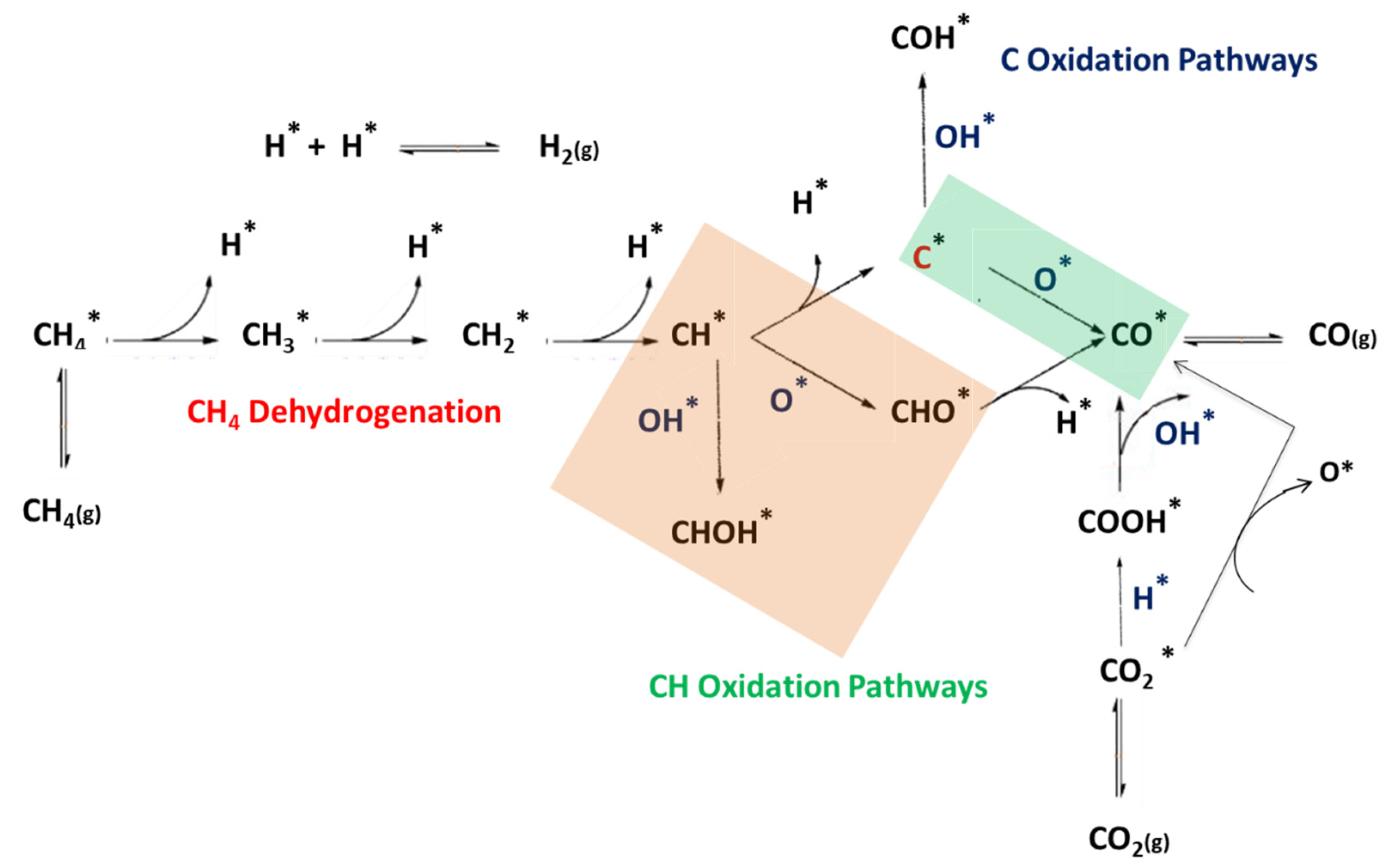 Catalysts 10 01043 g010