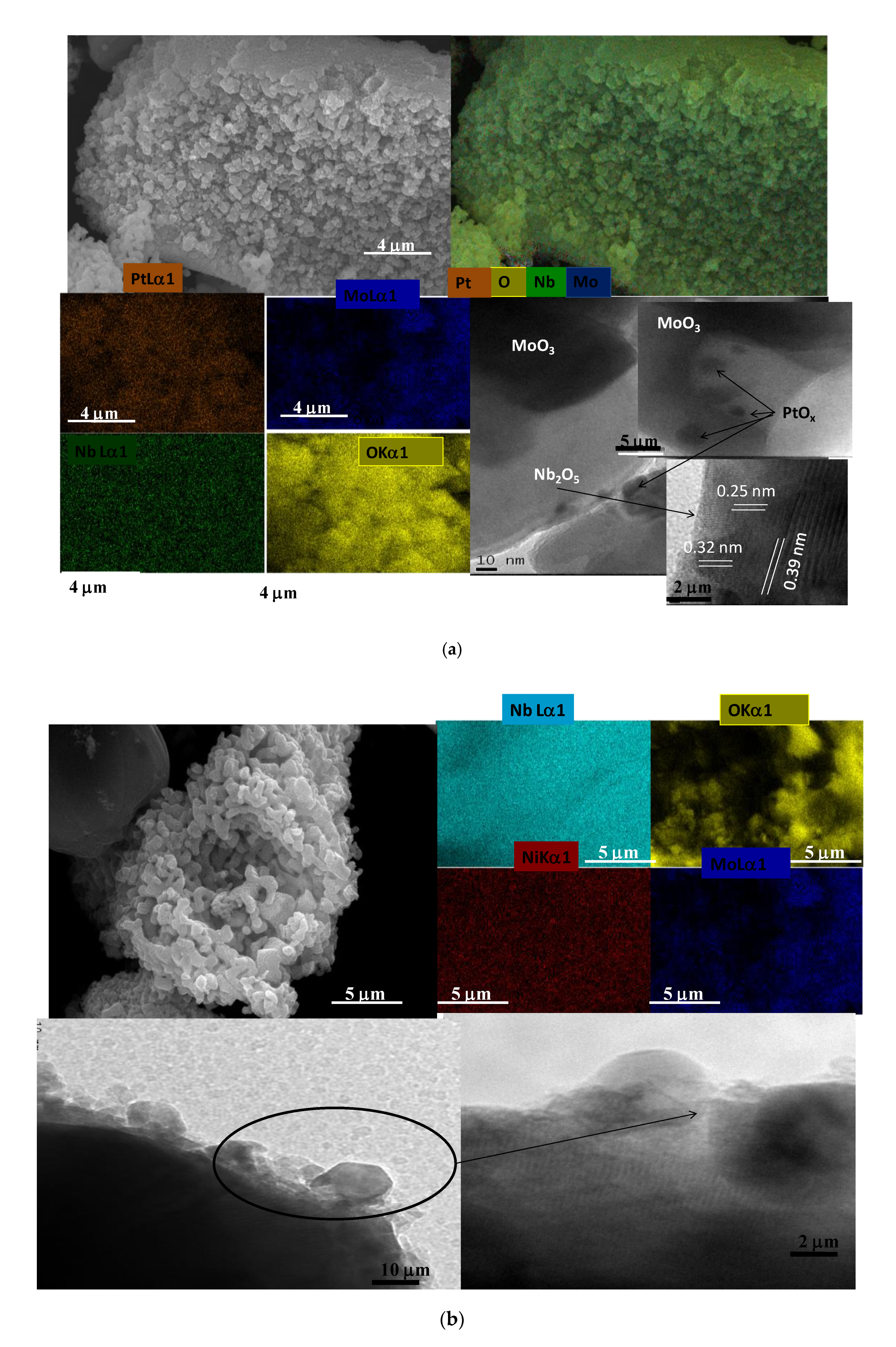 Catalysts 10 01048 g004a