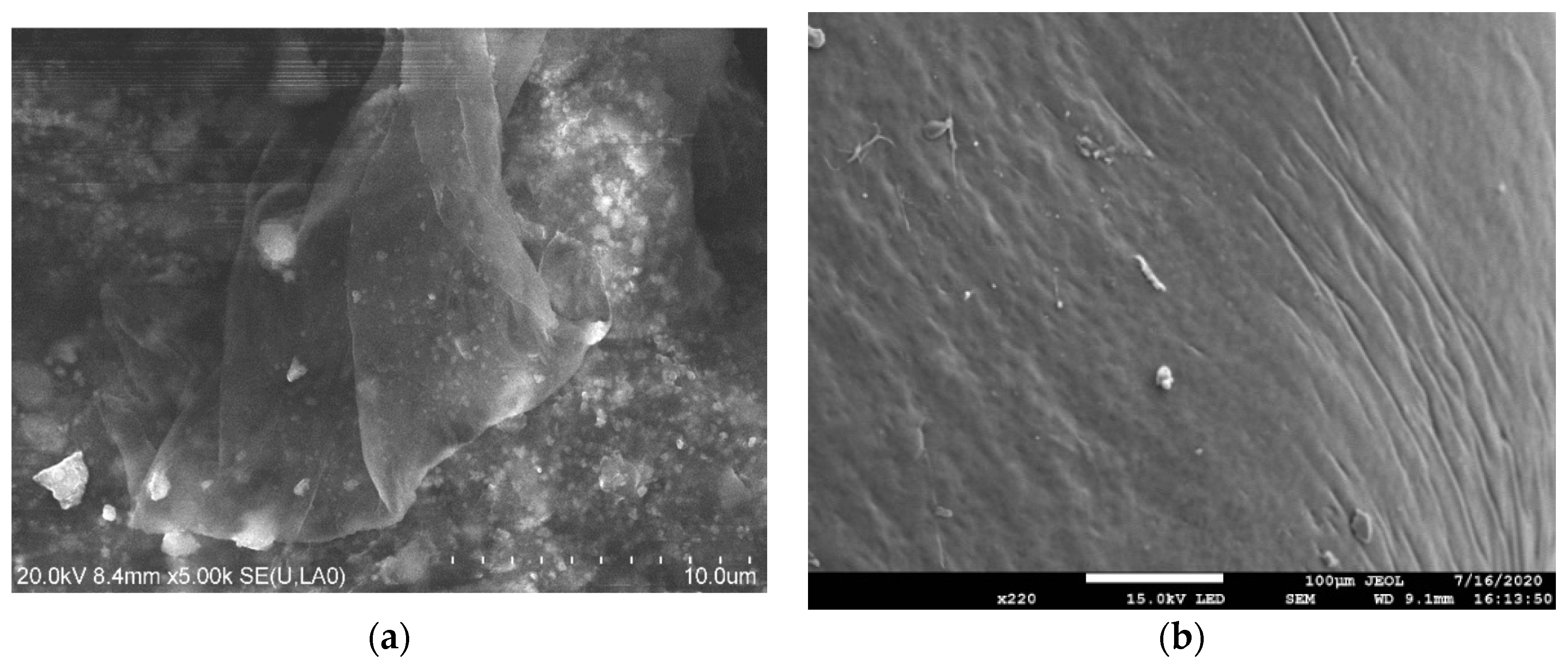 Catalysts 10 01050 g001