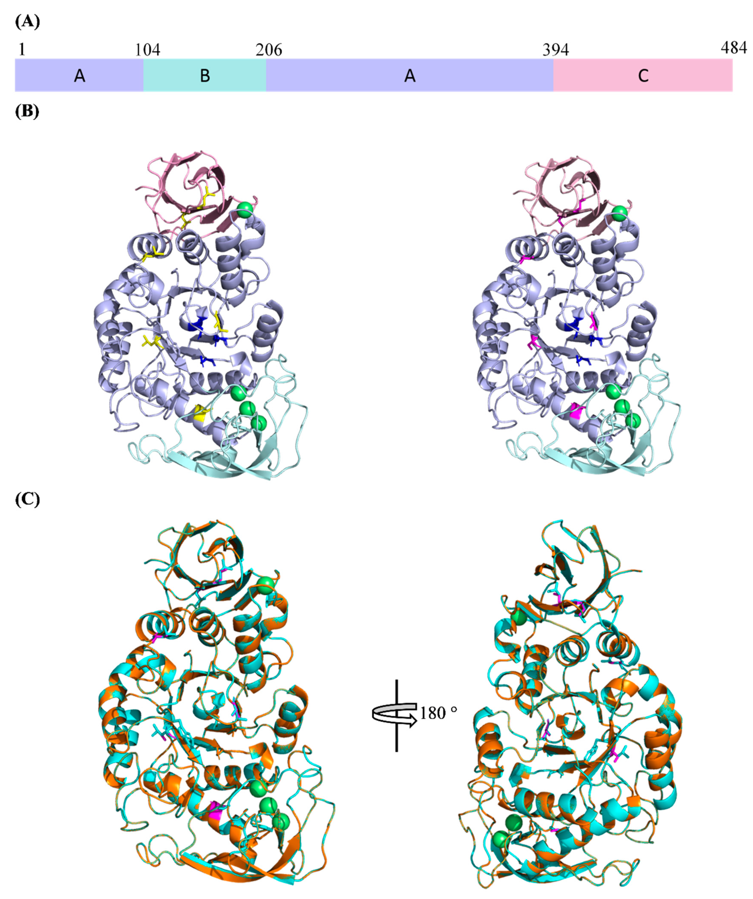 Catalysts 10 01059 g002