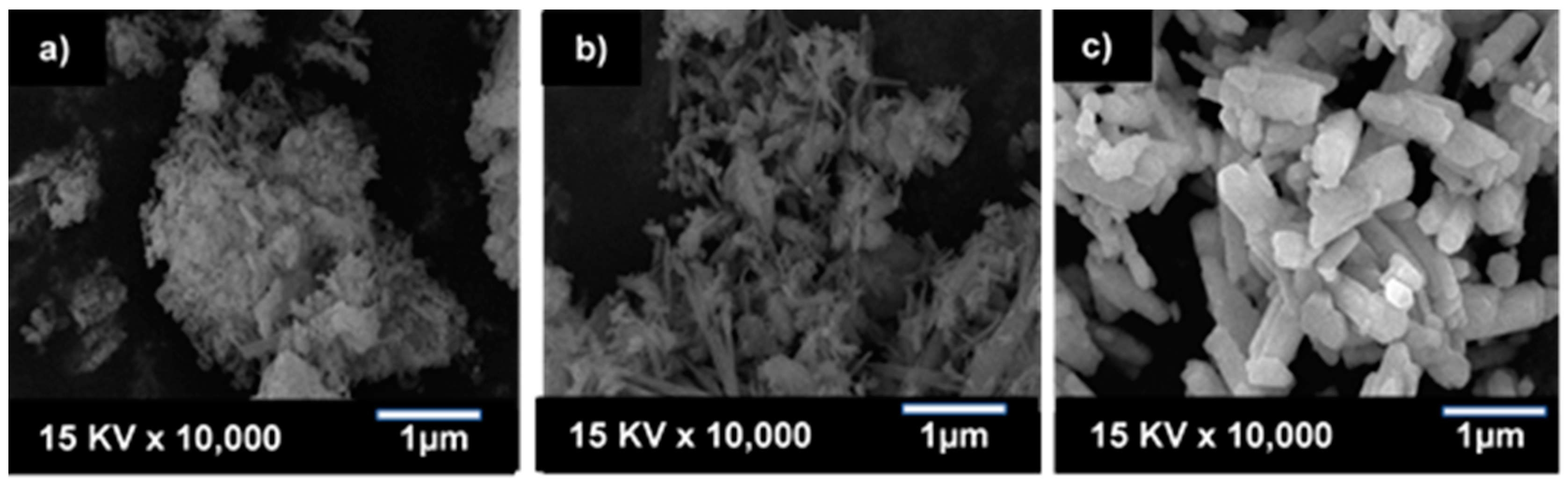 Catalysts 10 01069 g003