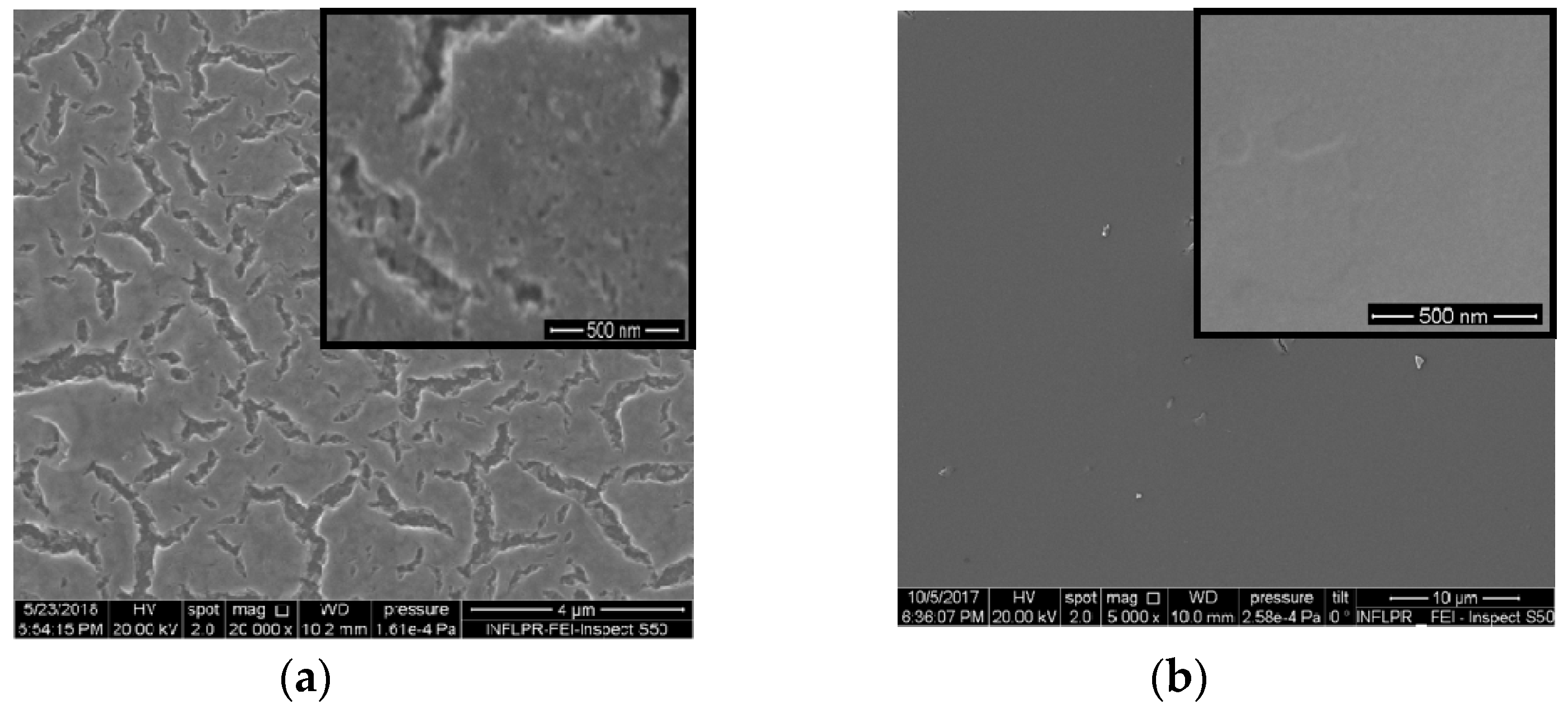 Catalysts 10 01074 g001 Catalysts 10 01074 g001