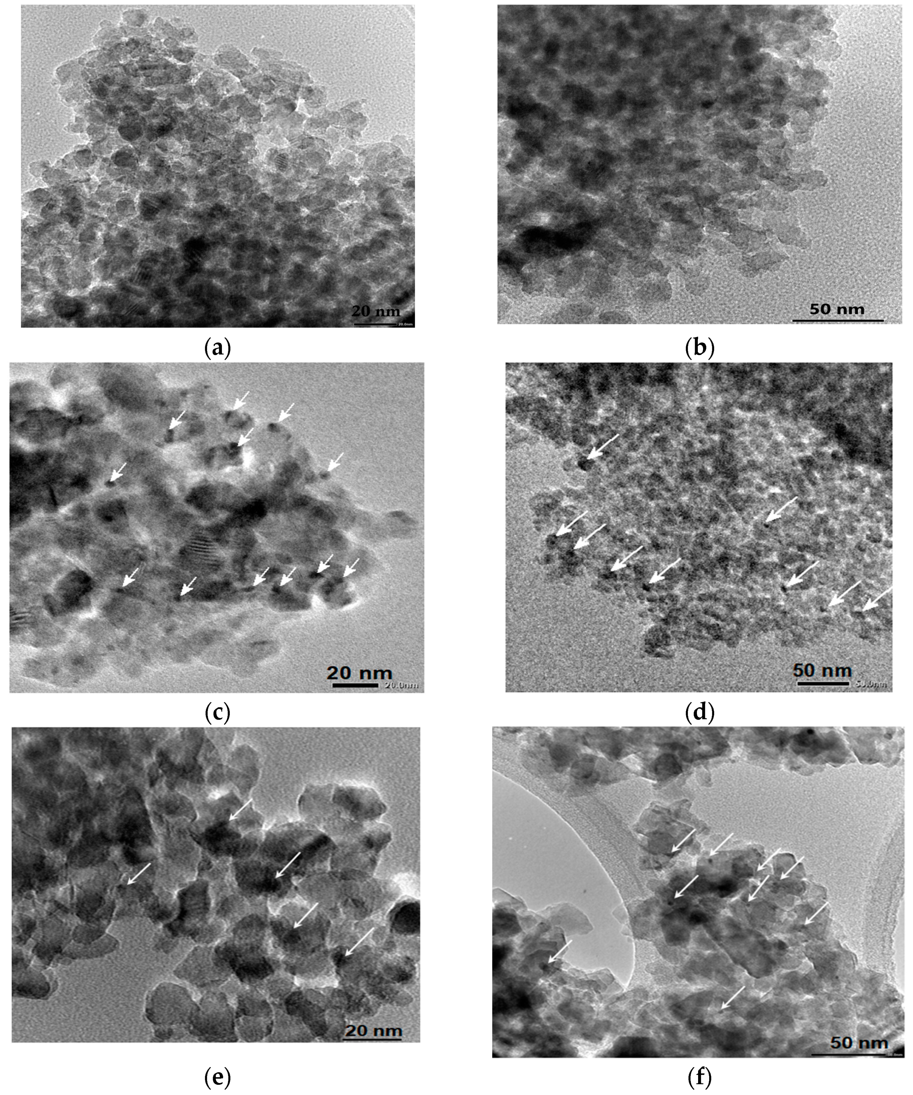 Catalysts 10 01074 g009 Catalysts 10 01074 g009