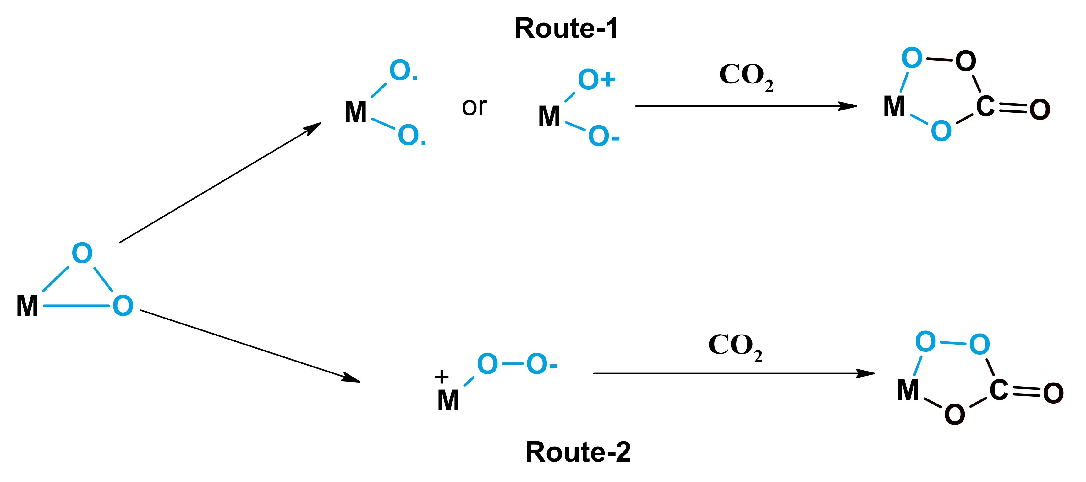 Catalysts 10 01075 sch003