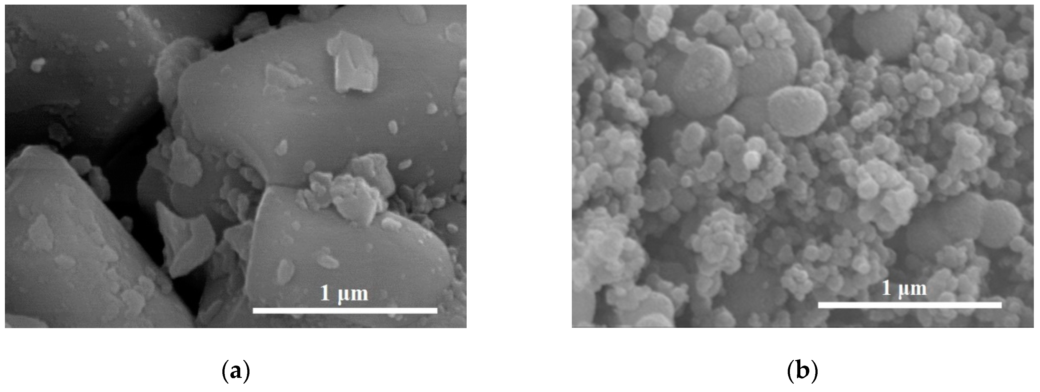 Catalysts 10 01188 g002a