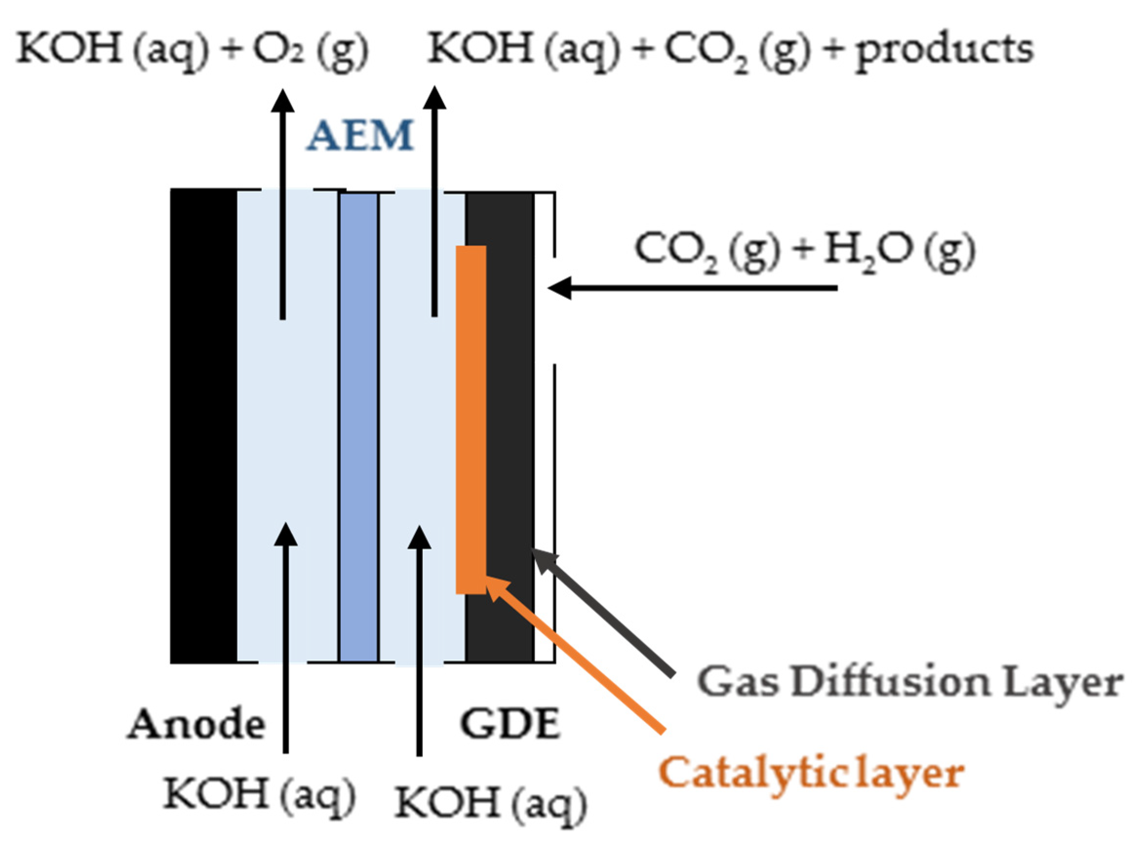 Catalysts 10 01226 g004