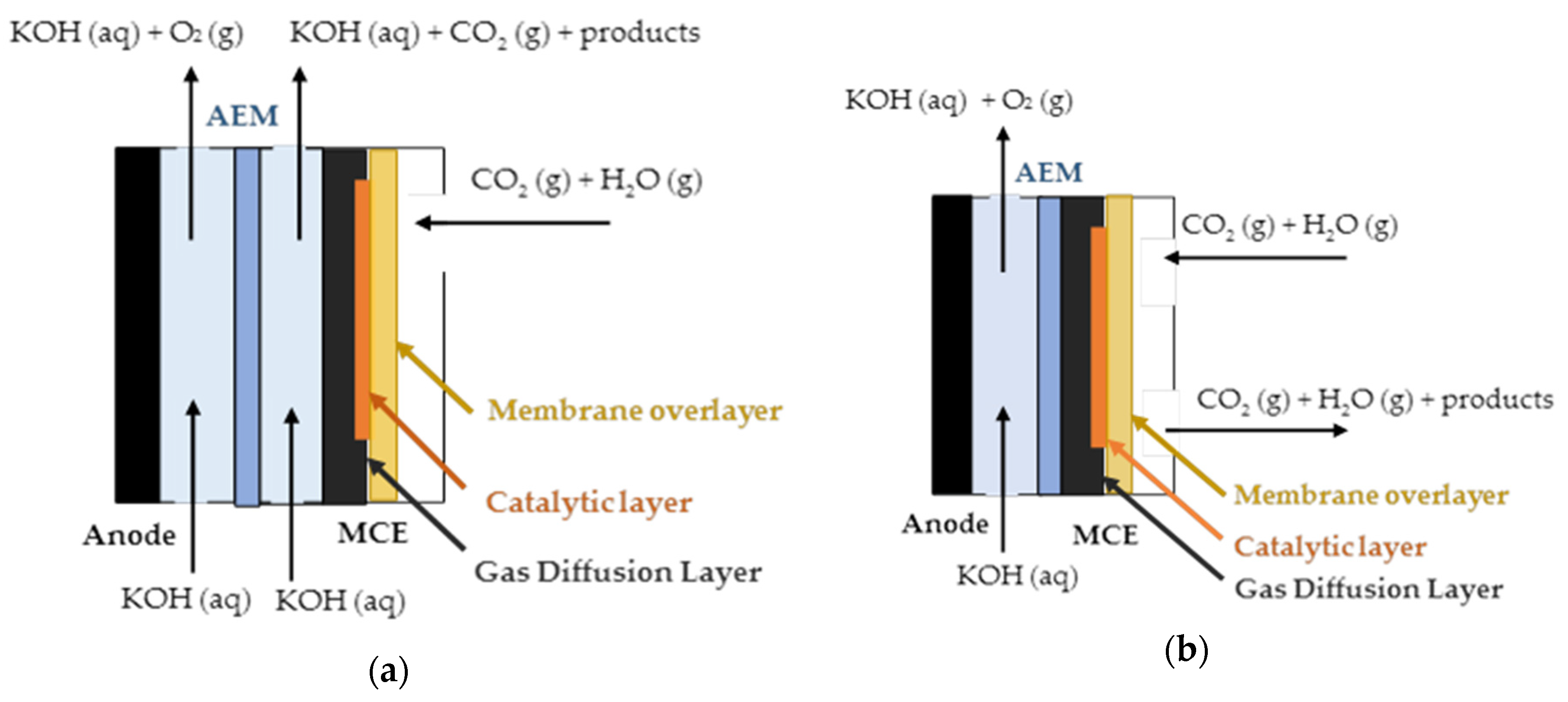 Catalysts 10 01226 g007