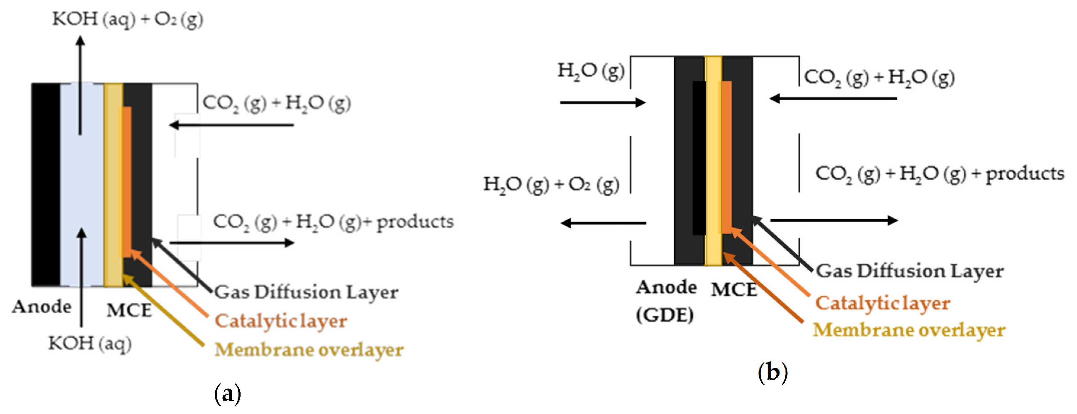Catalysts 10 01226 g008