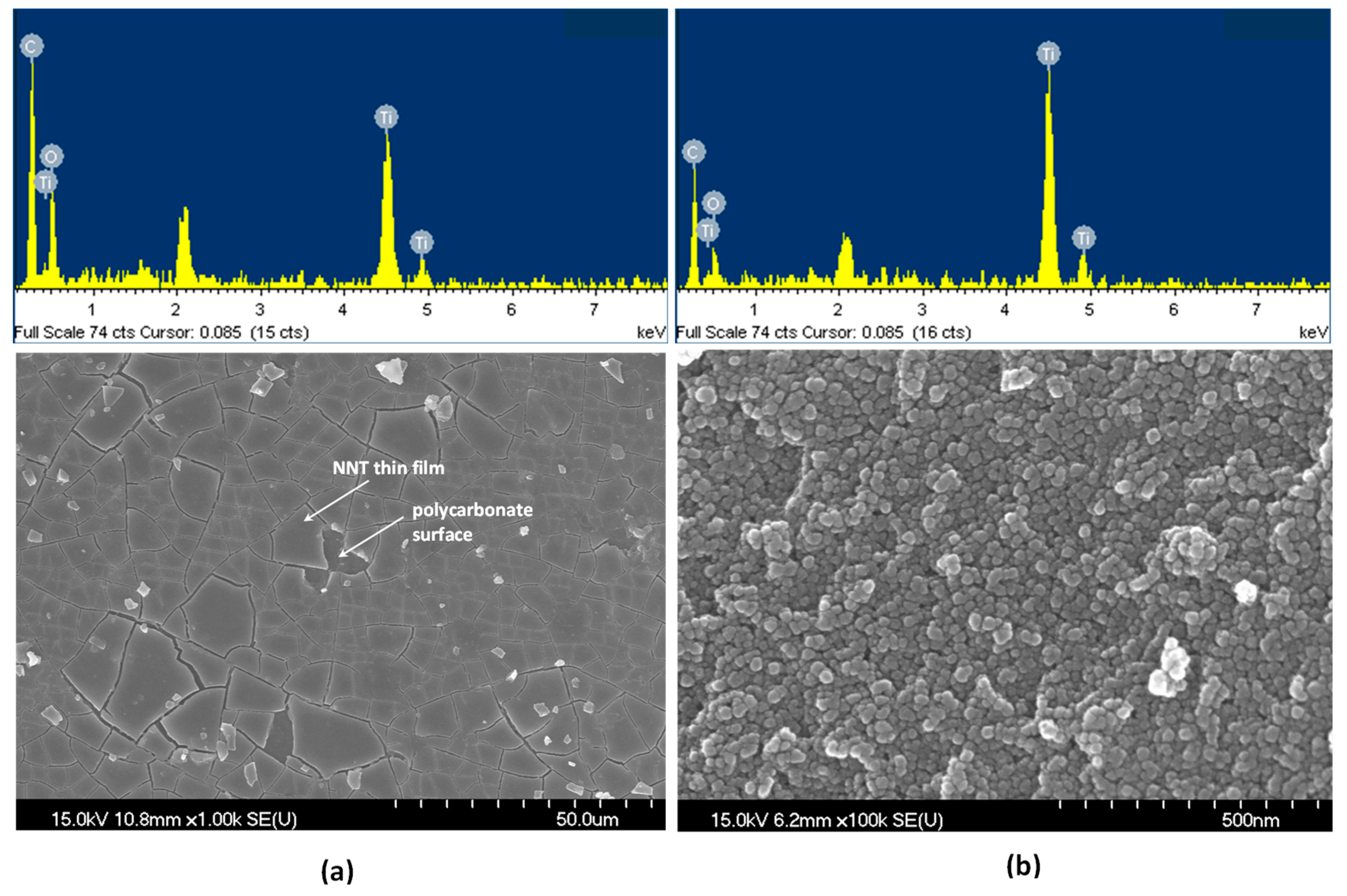 Catalysts 10 01237 g002