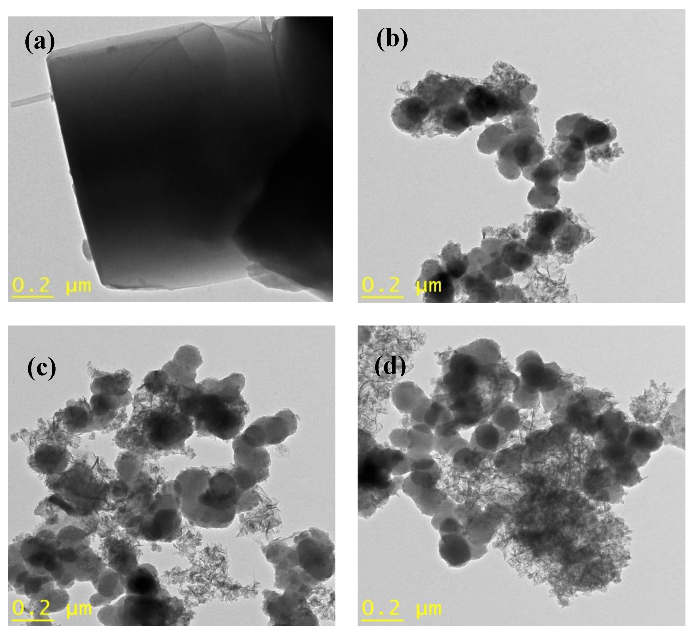 Catalysts 10 01241 g005a