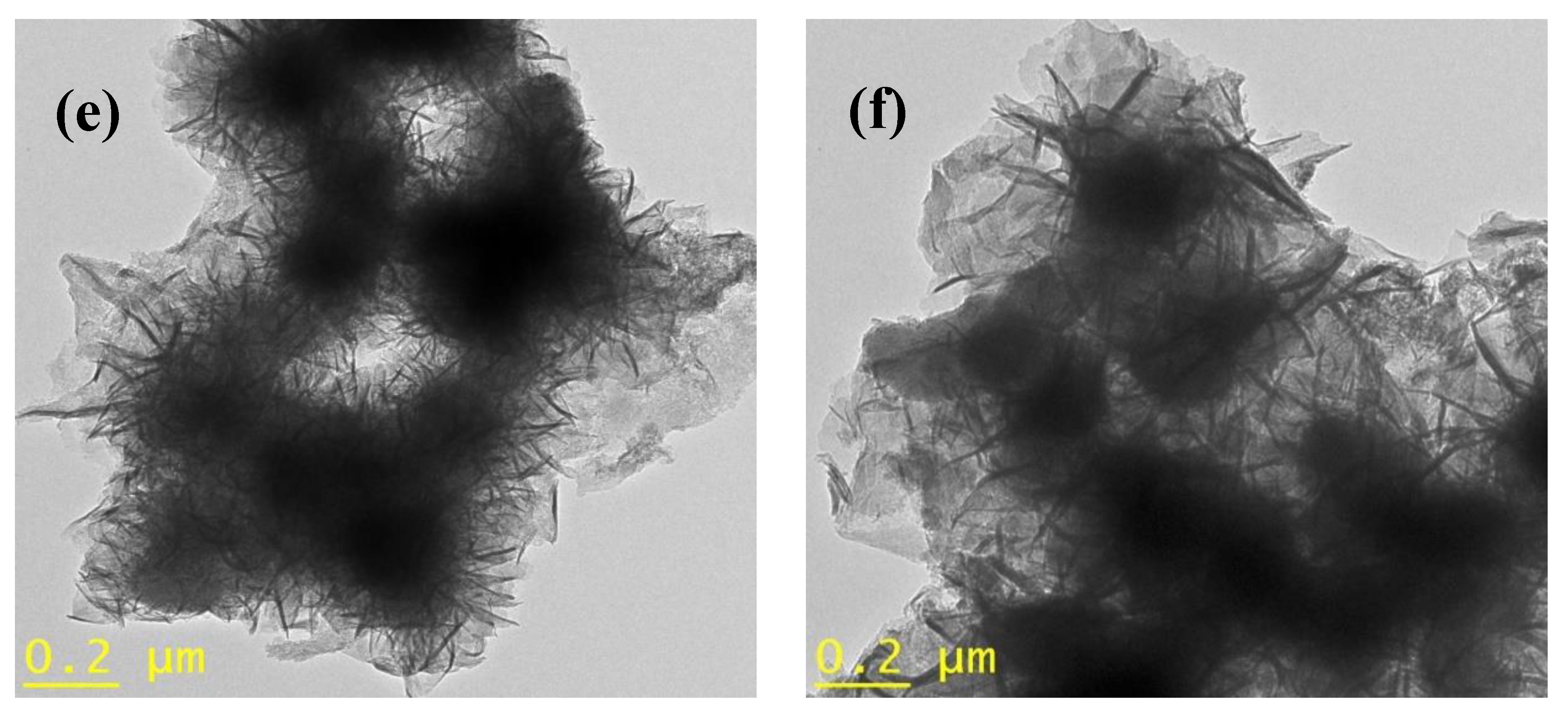 Catalysts 10 01241 g005b
