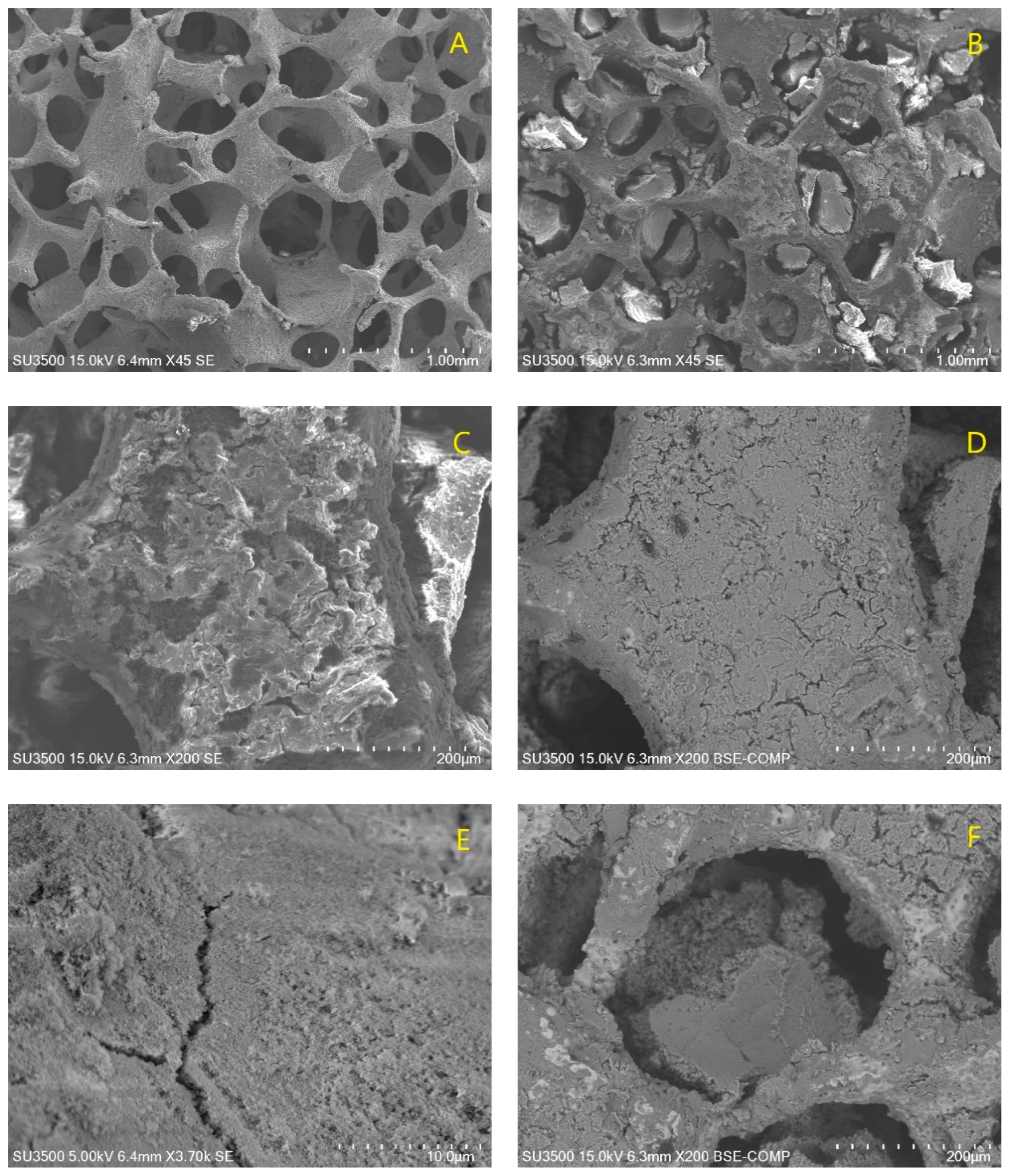 Catalysts 10 01245 g001