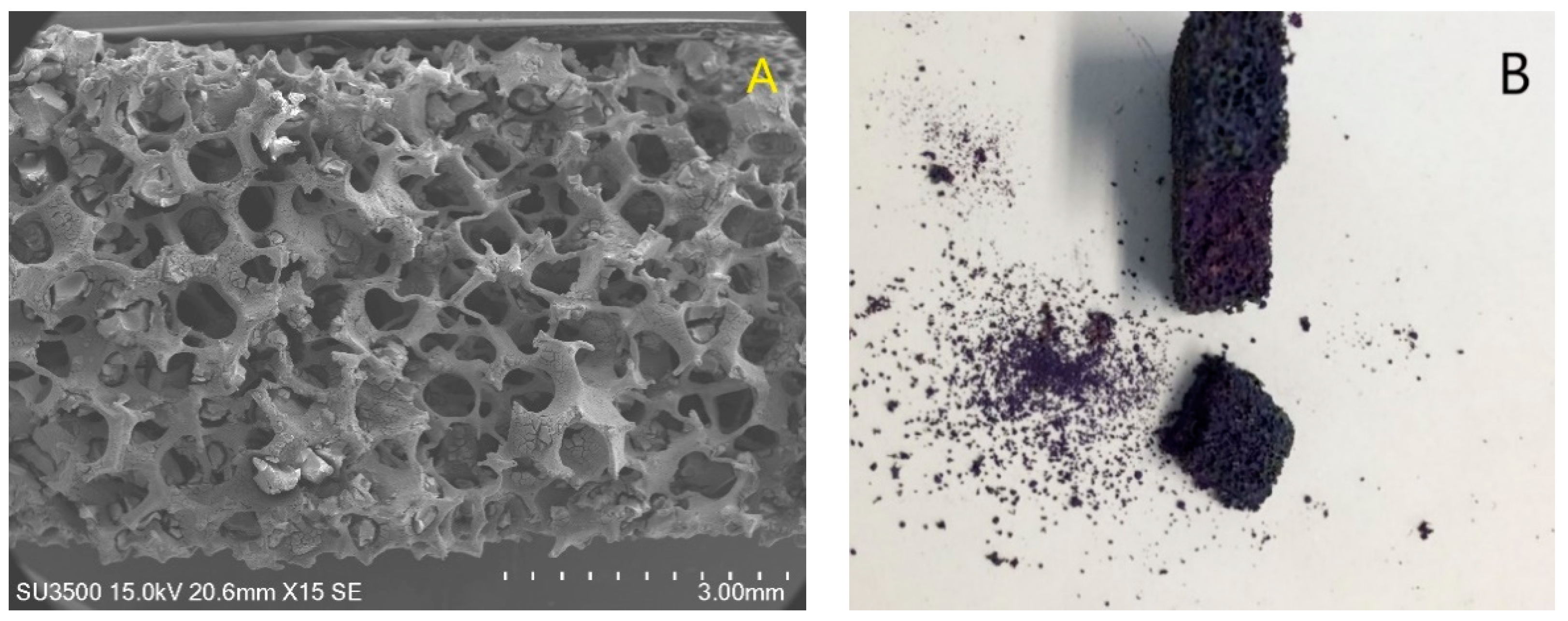 Catalysts 10 01245 g002