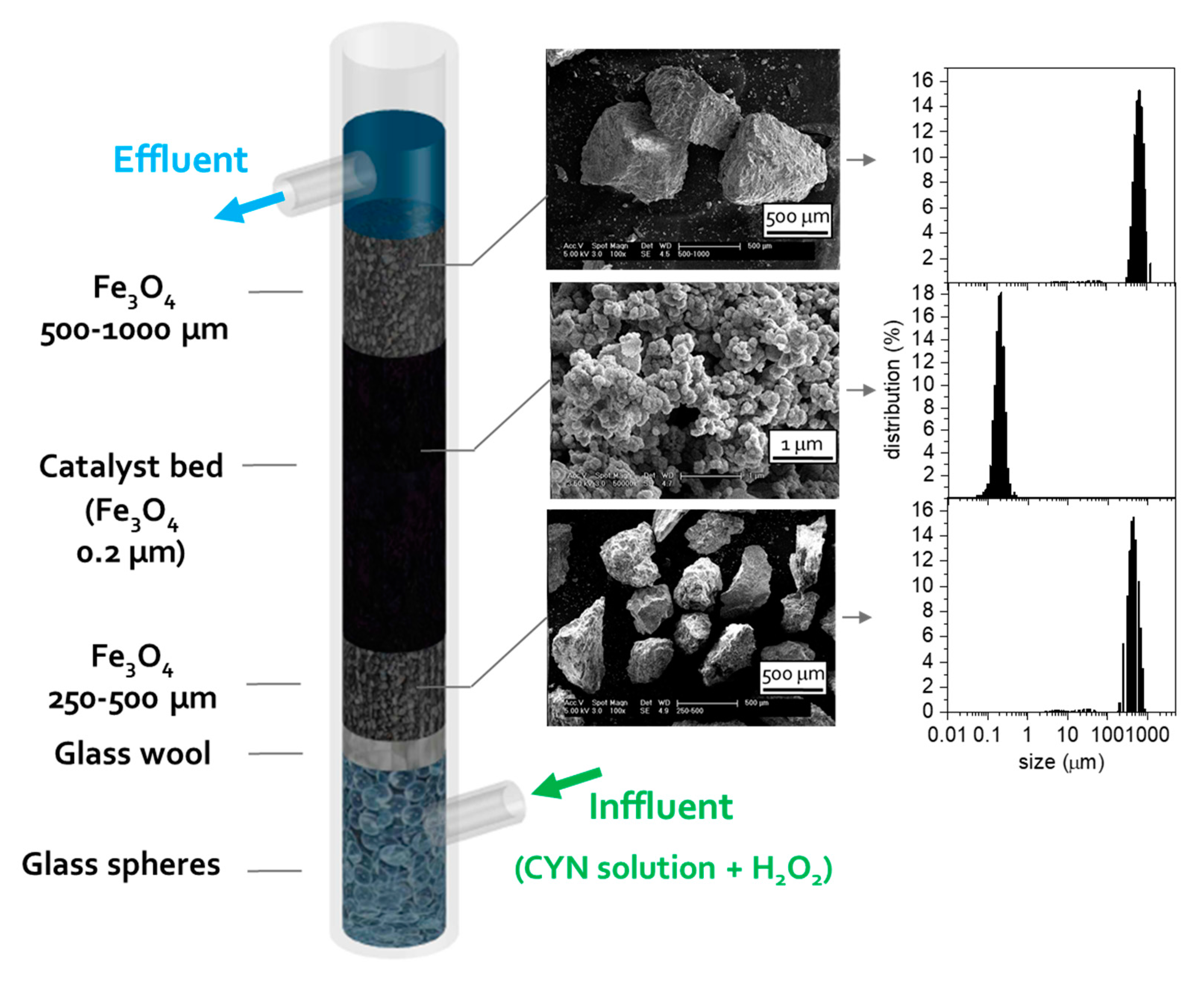Catalysts 10 01250 g008