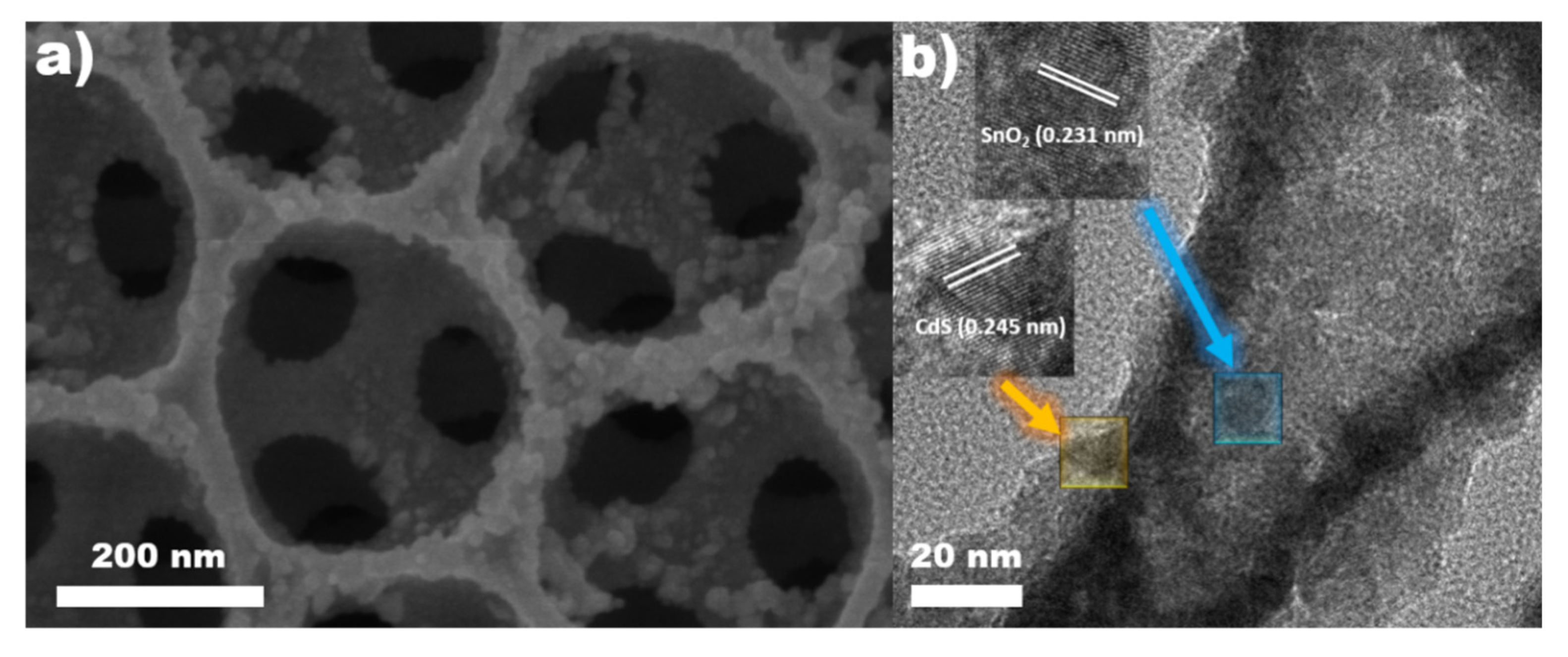 Catalysts 10 01252 g003 Catalysts 10 01252 g003