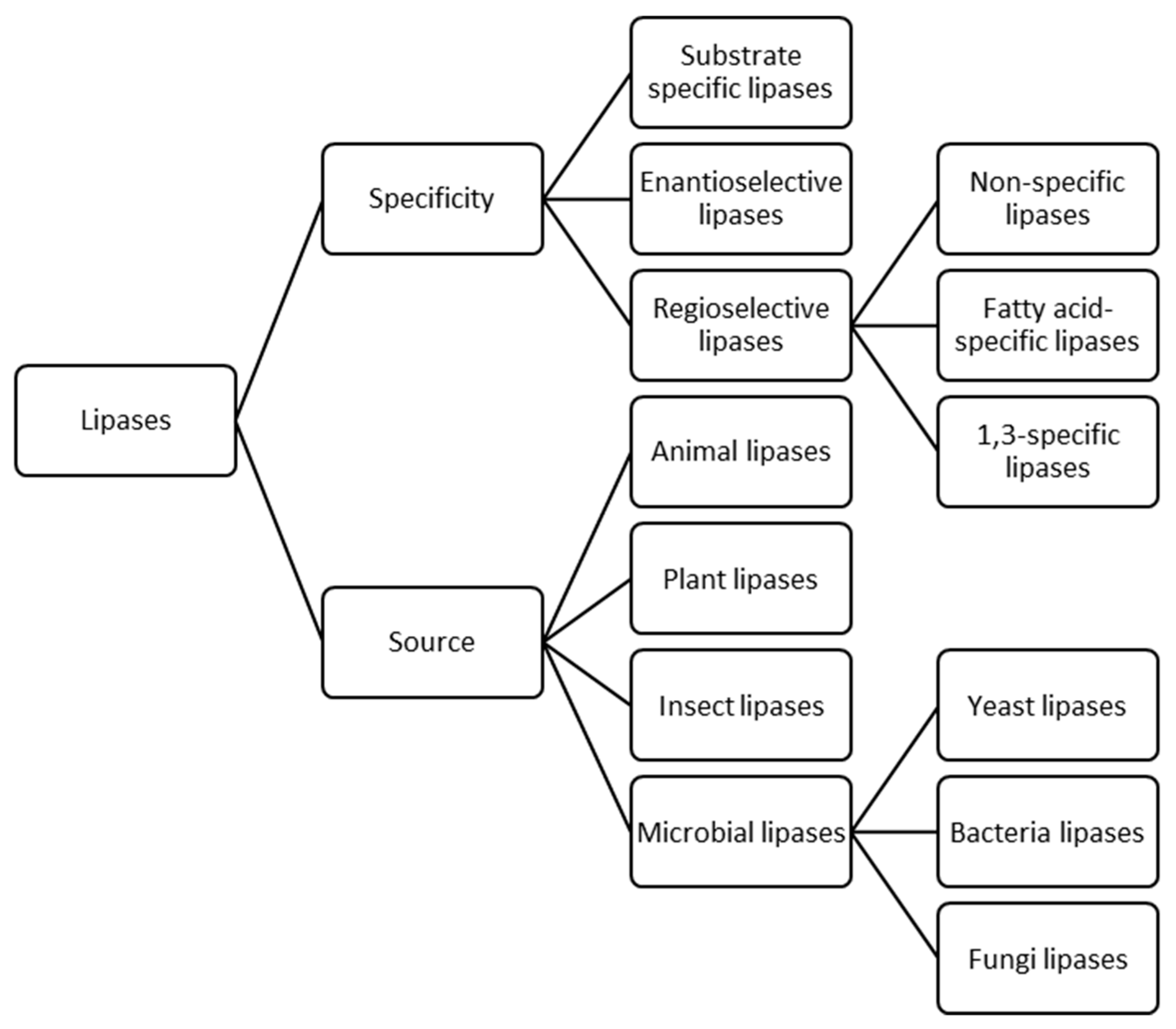 Catalysts 10 01277 g002