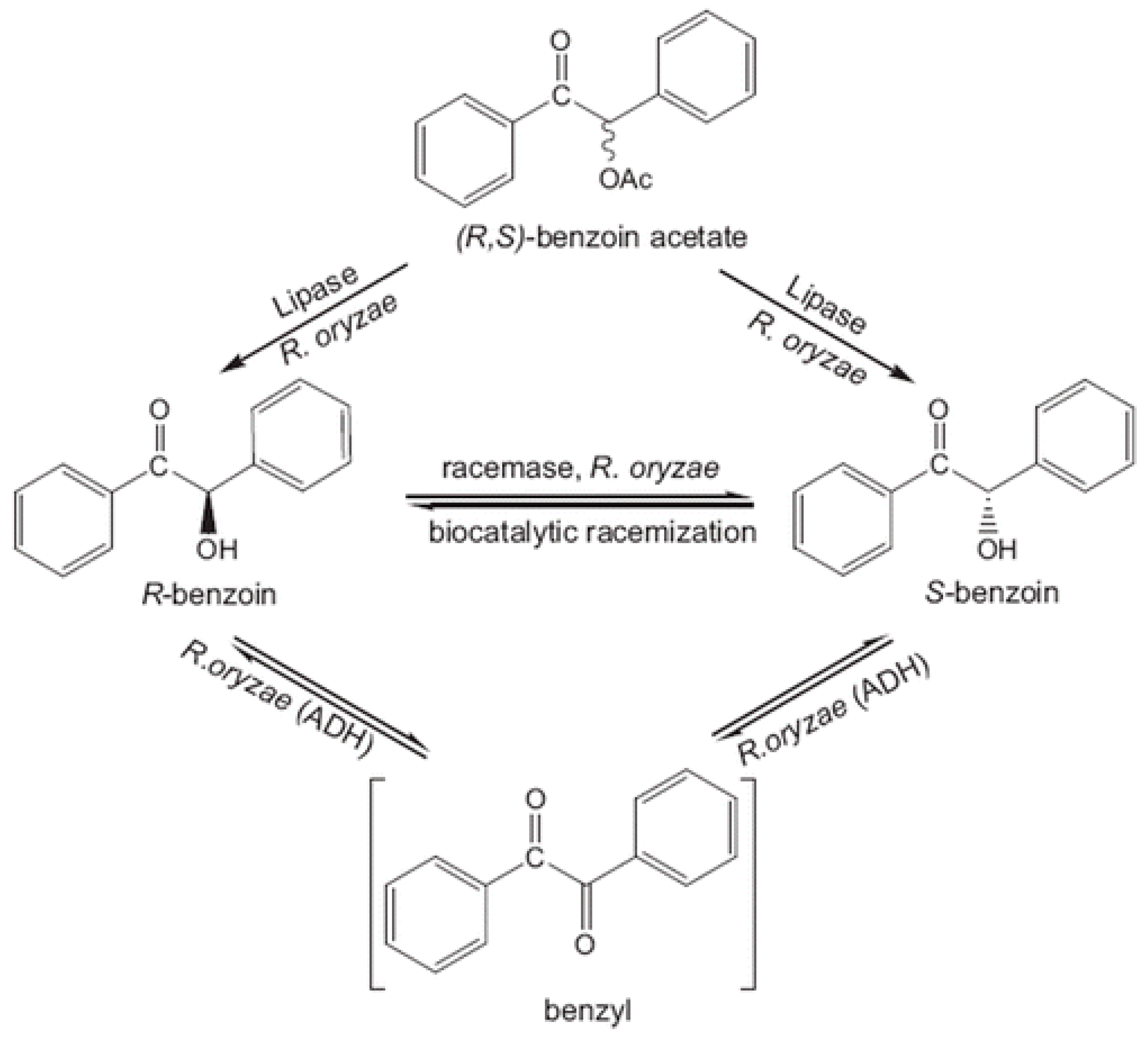 Catalysts 10 01277 g006