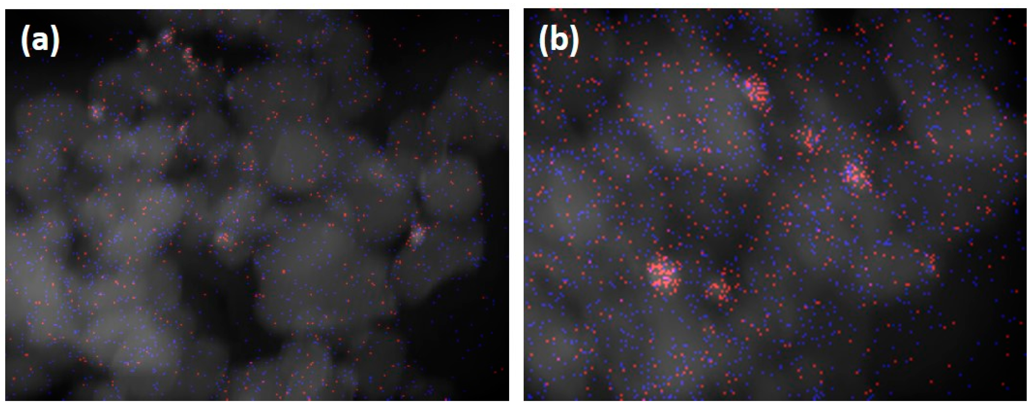 Catalysts 10 01283 g003