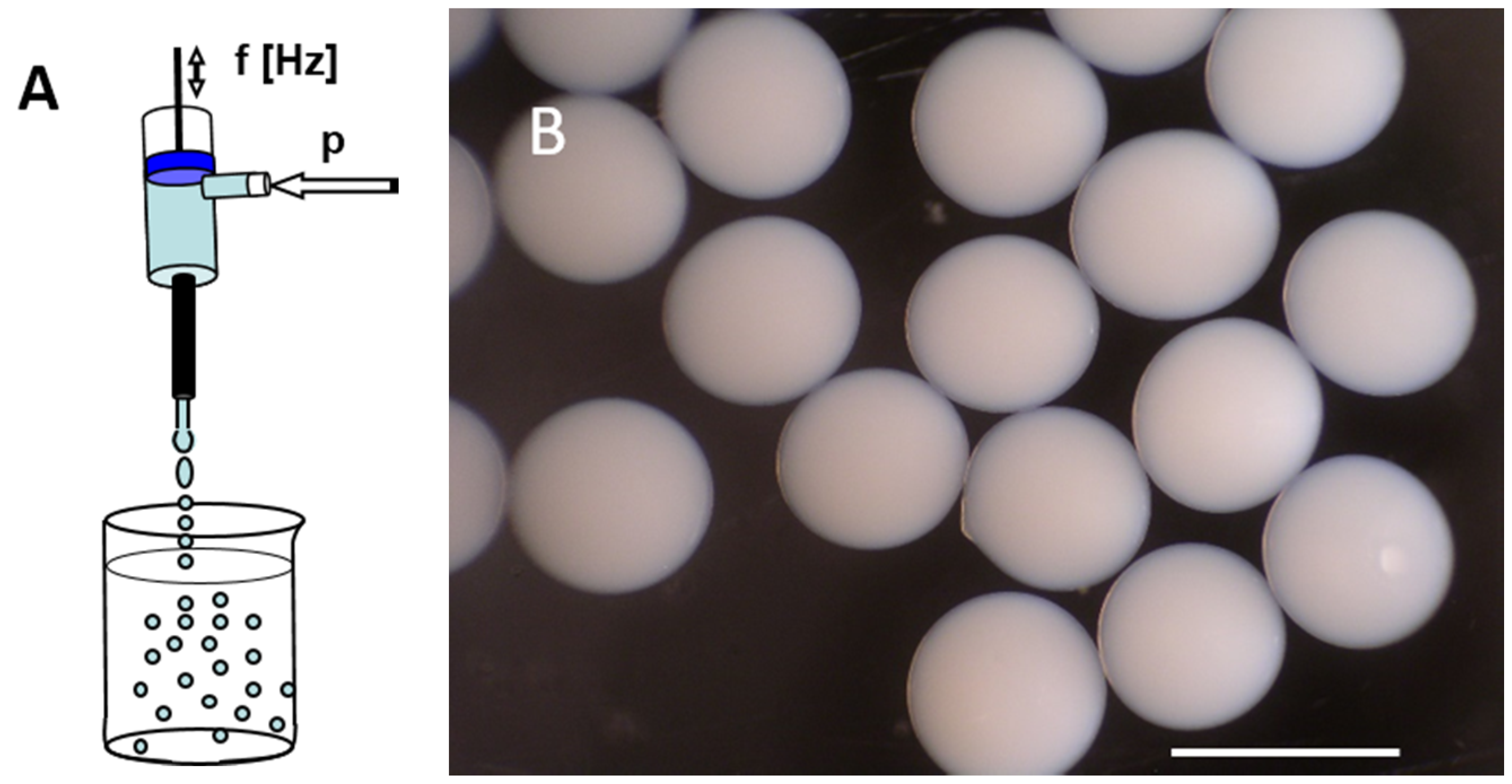 Catalysts 10 01288 g001