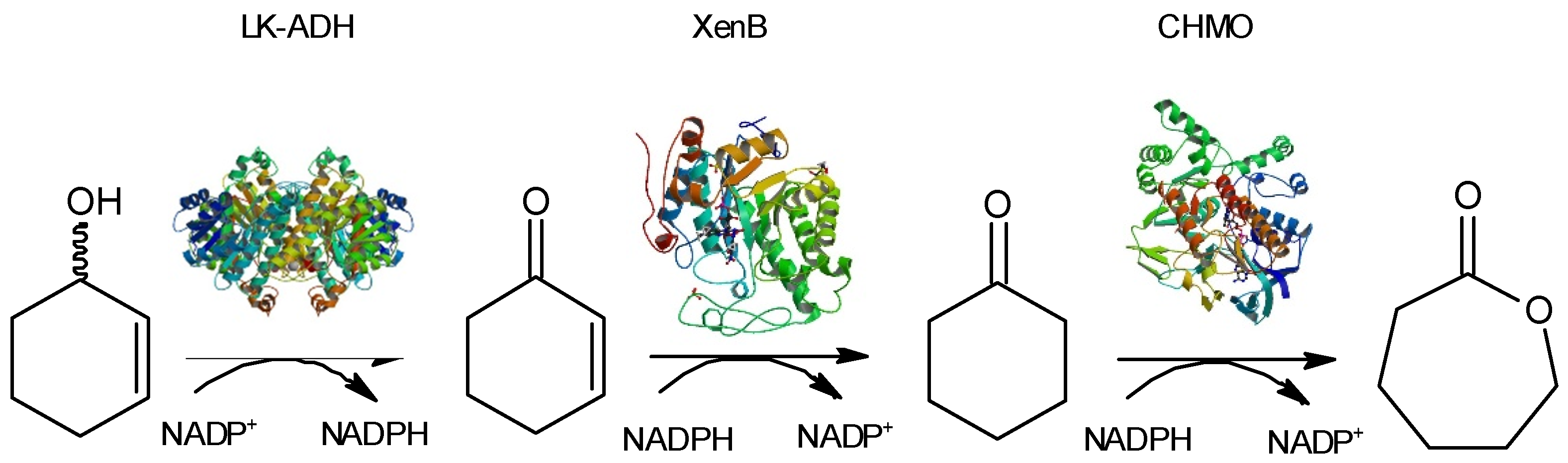 Catalysts 10 01288 sch001