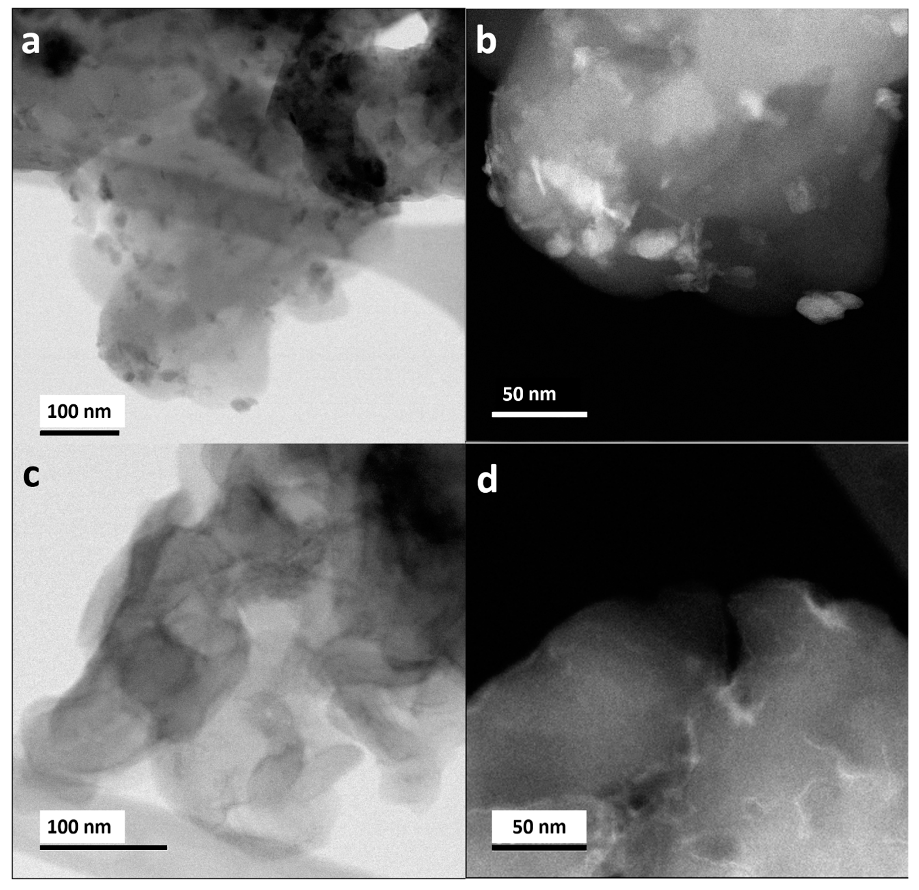 Catalysts 10 01289 g002
