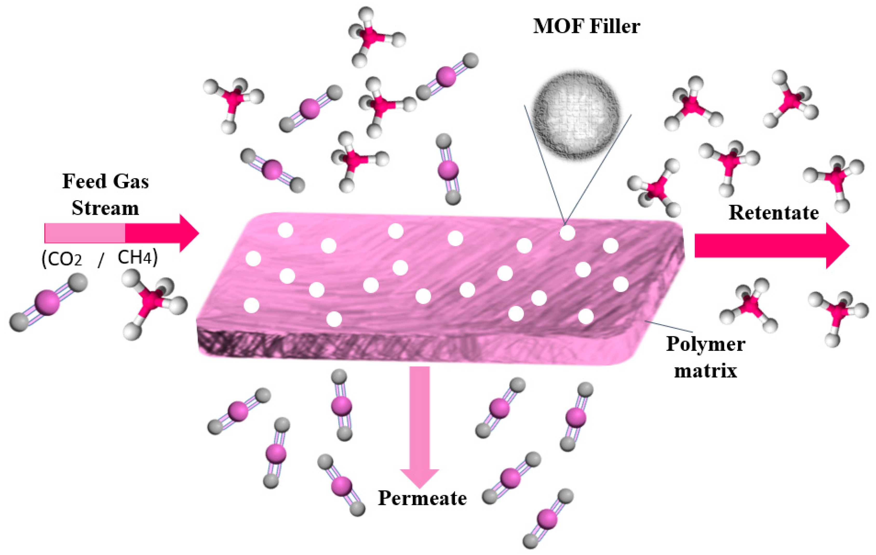 Catalysts 10 01293 g006