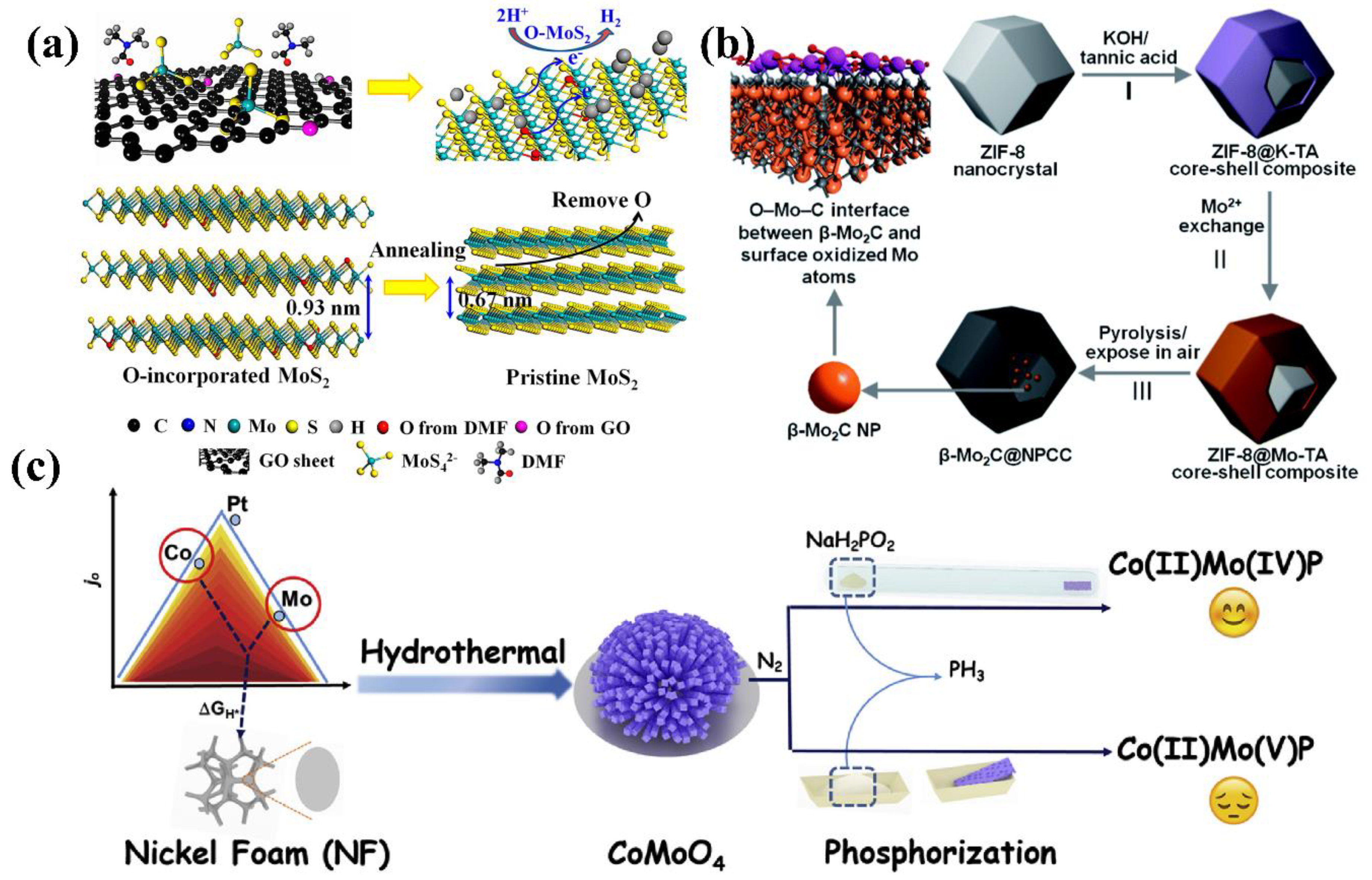 Catalysts 10 01301 g003