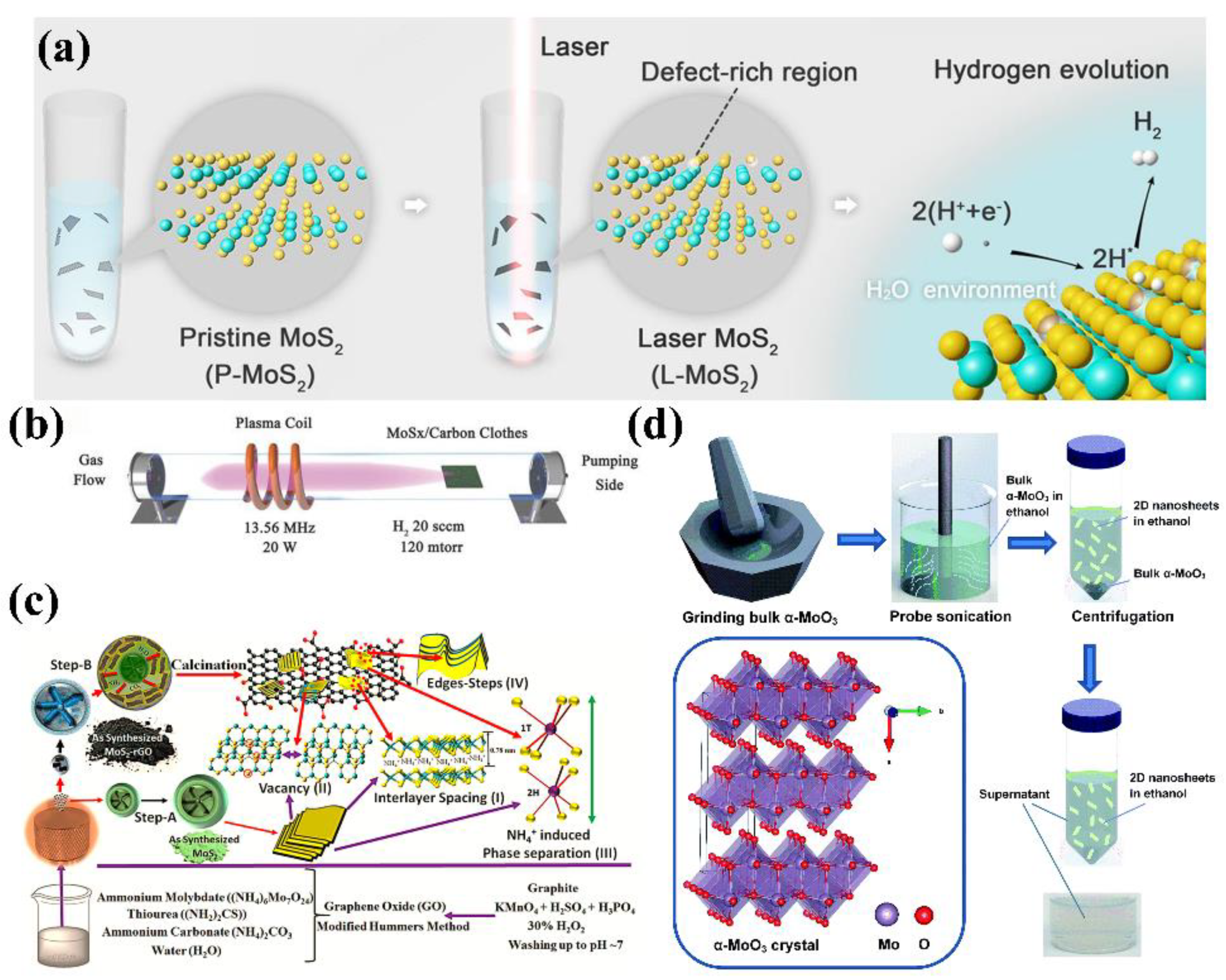 Catalysts 10 01301 g004